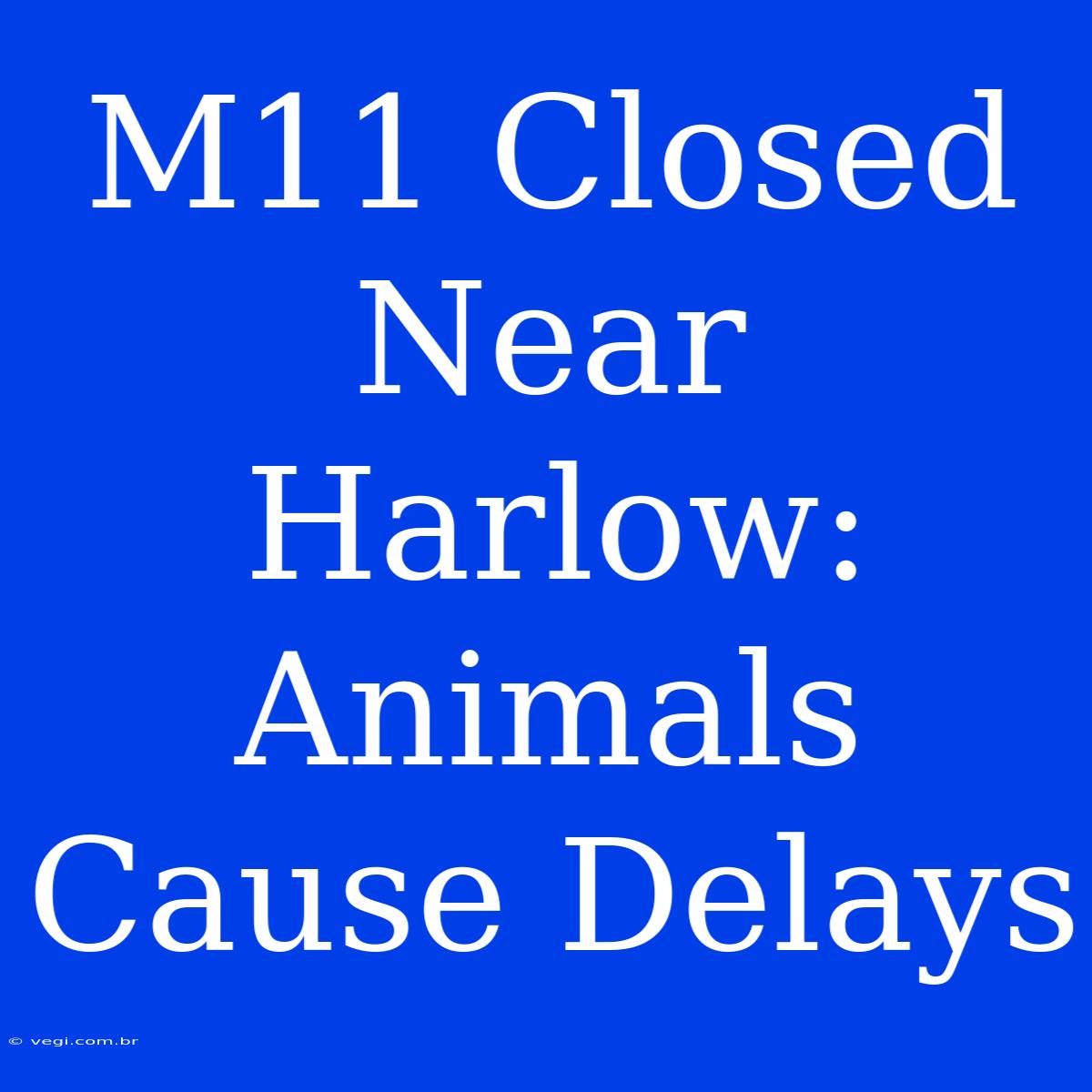 M11 Closed Near Harlow: Animals Cause Delays