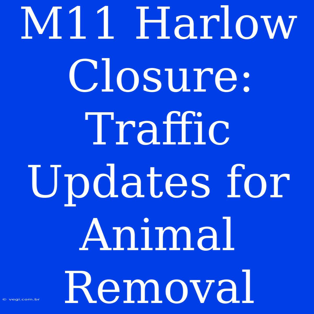 M11 Harlow Closure: Traffic Updates For Animal Removal 