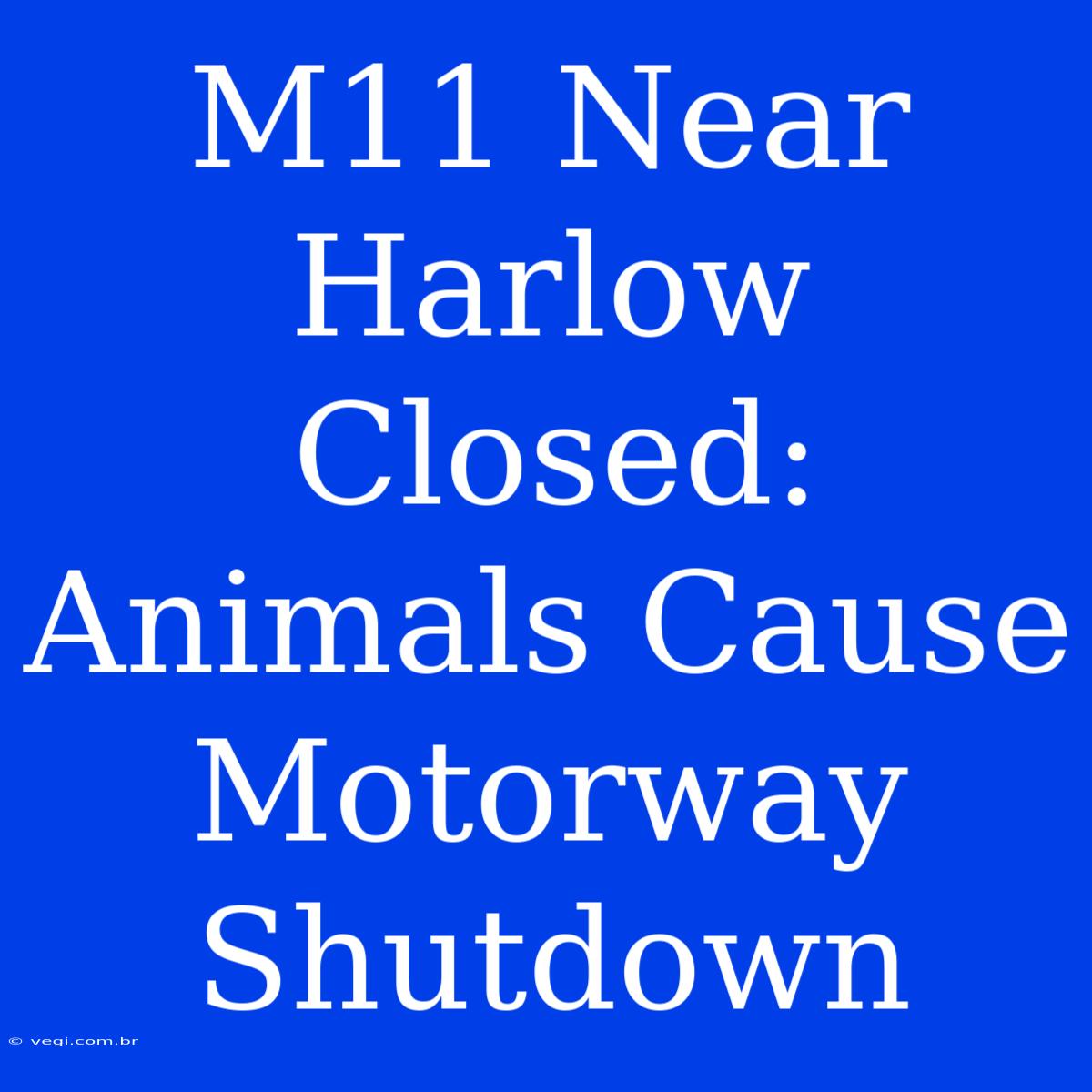 M11 Near Harlow Closed: Animals Cause Motorway Shutdown