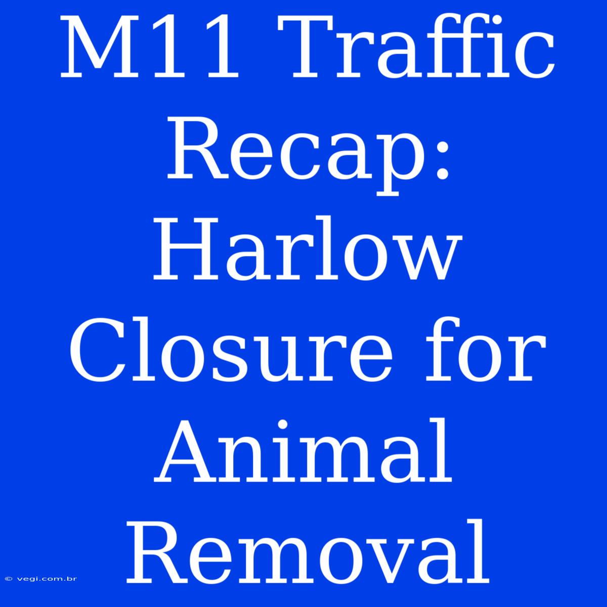 M11 Traffic Recap: Harlow Closure For Animal Removal