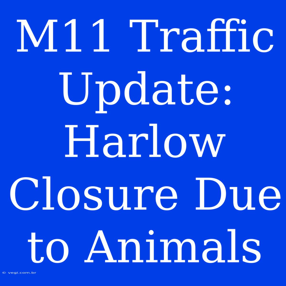 M11 Traffic Update: Harlow Closure Due To Animals