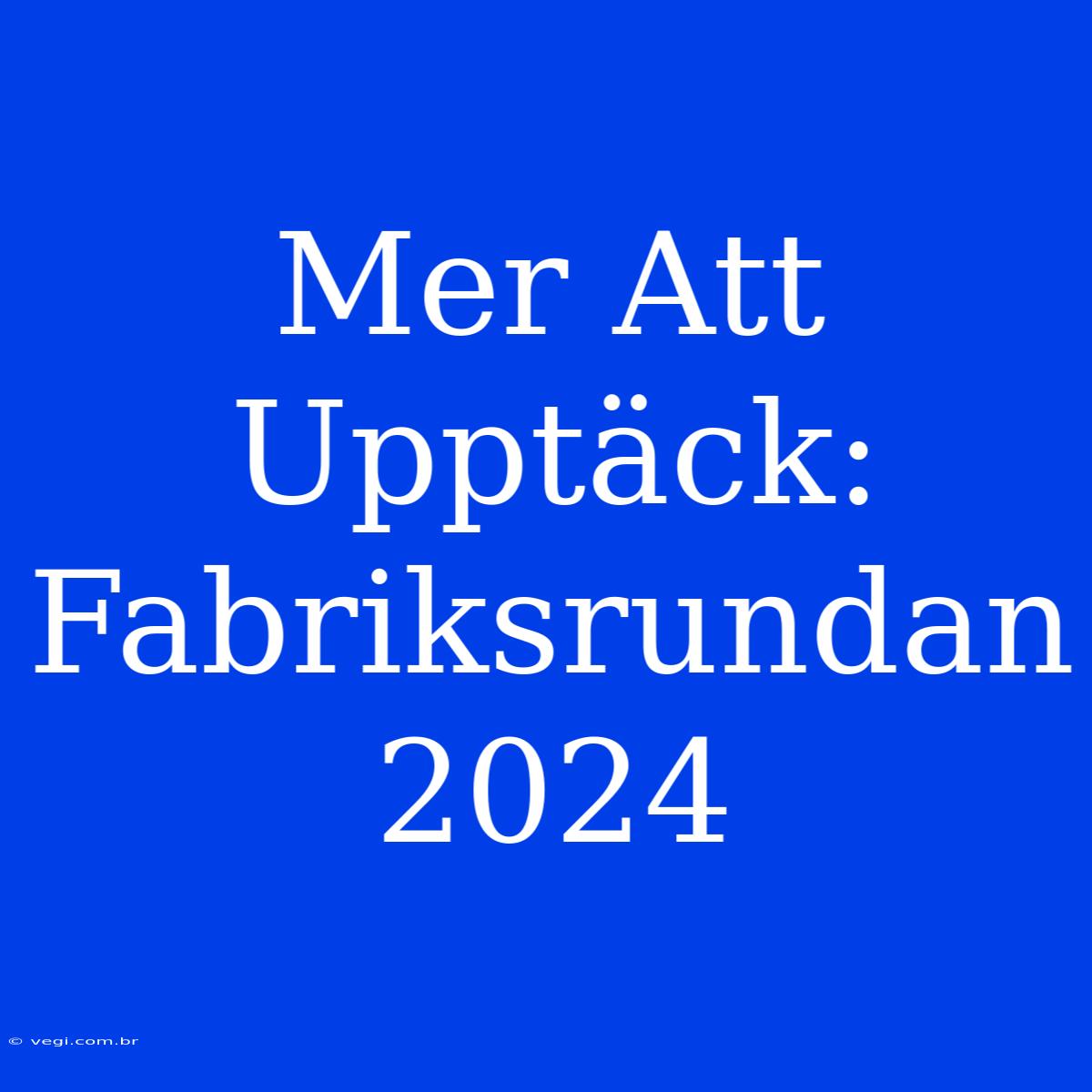 Mer Att Upptäck: Fabriksrundan 2024