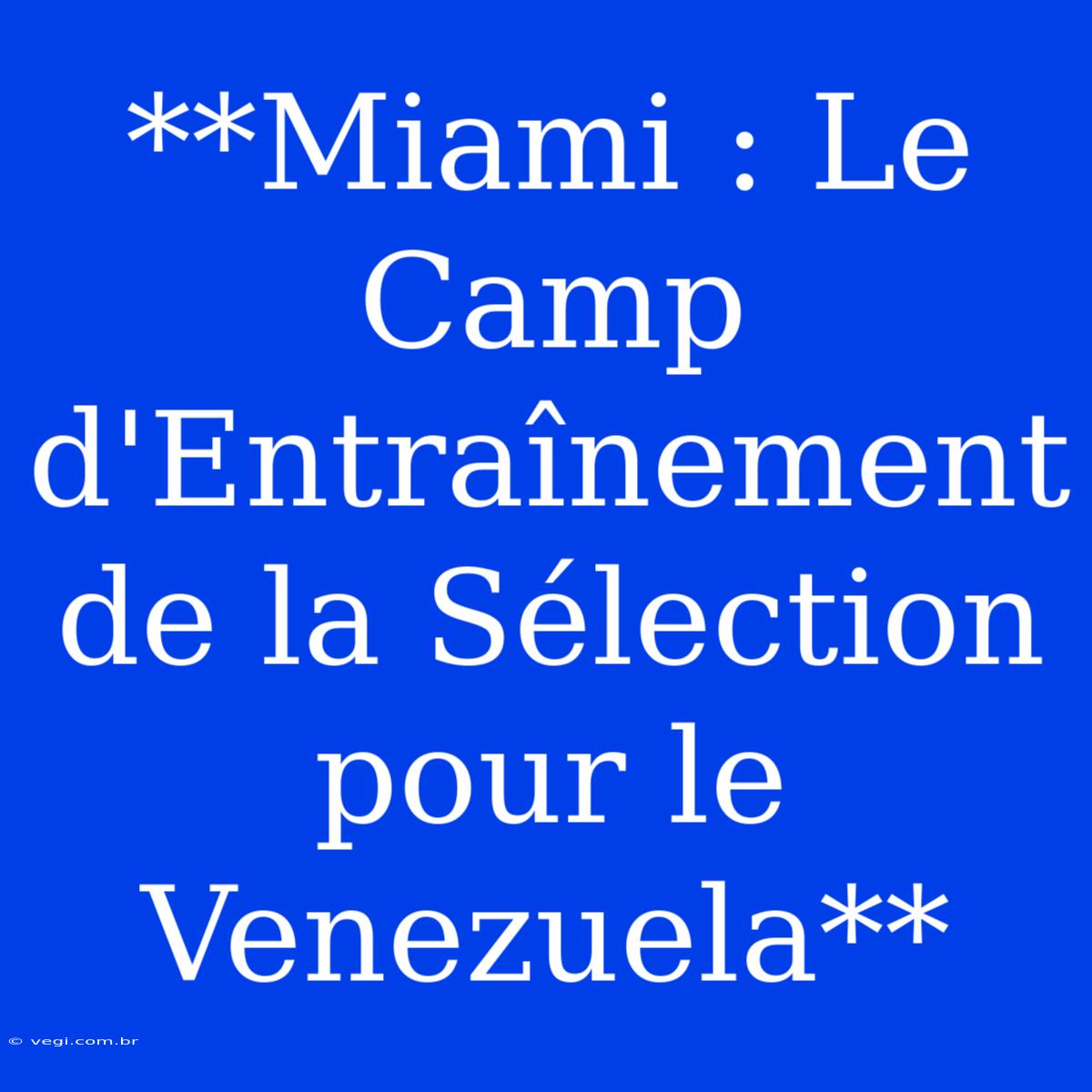 **Miami : Le Camp D'Entraînement De La Sélection Pour Le Venezuela**