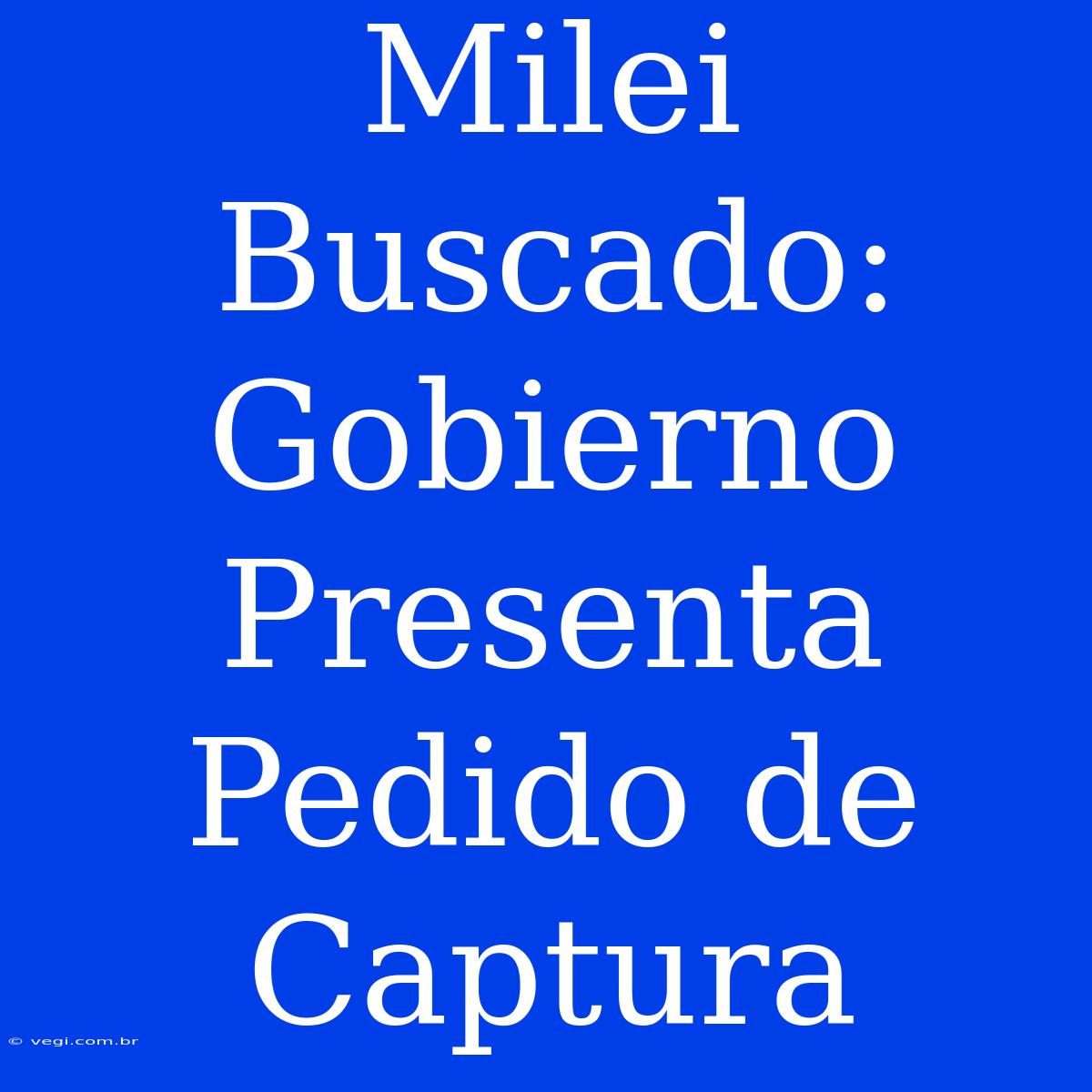 Milei Buscado: Gobierno Presenta Pedido De Captura