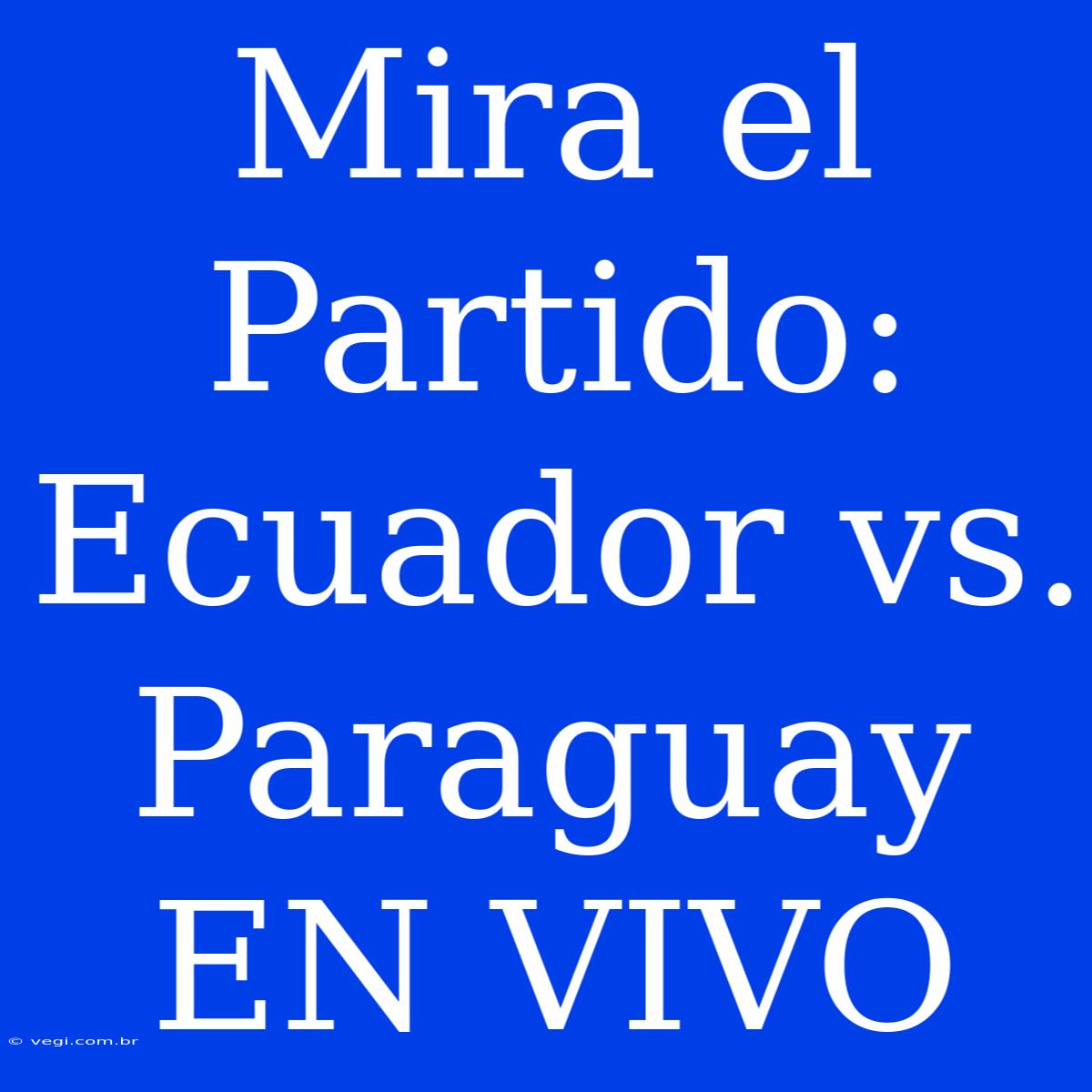 Mira El Partido: Ecuador Vs. Paraguay EN VIVO