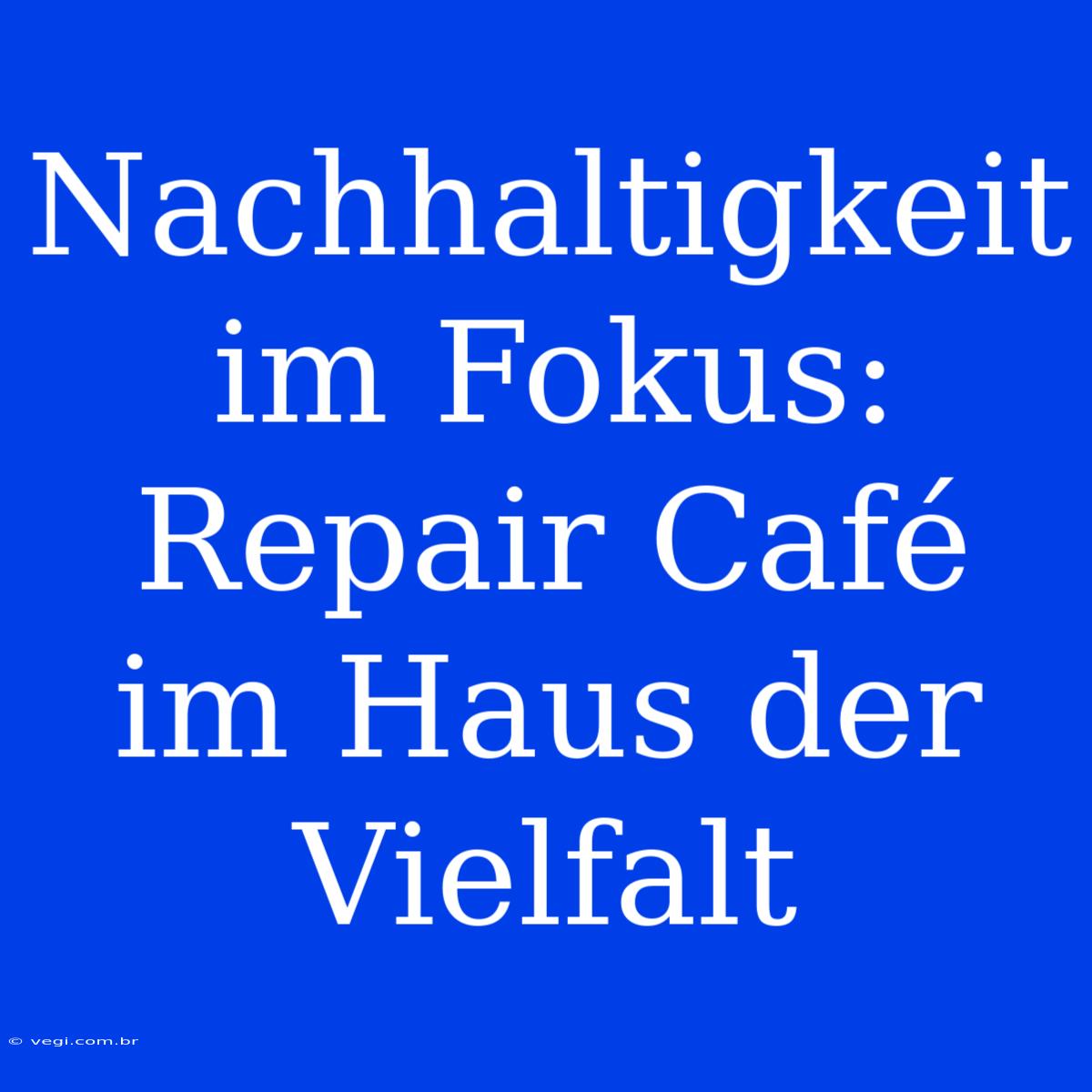 Nachhaltigkeit Im Fokus: Repair Café Im Haus Der Vielfalt 