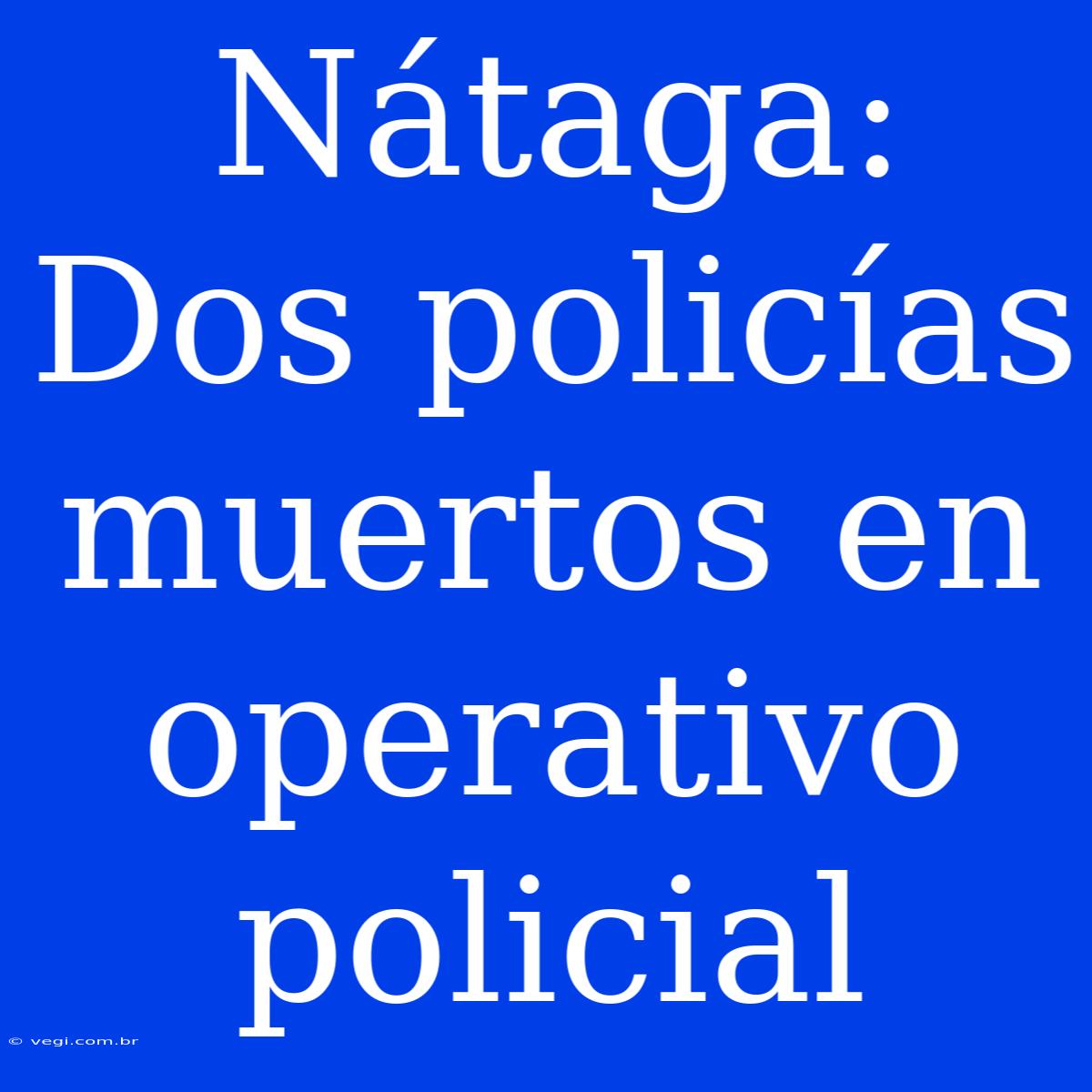 Nátaga: Dos Policías Muertos En Operativo Policial