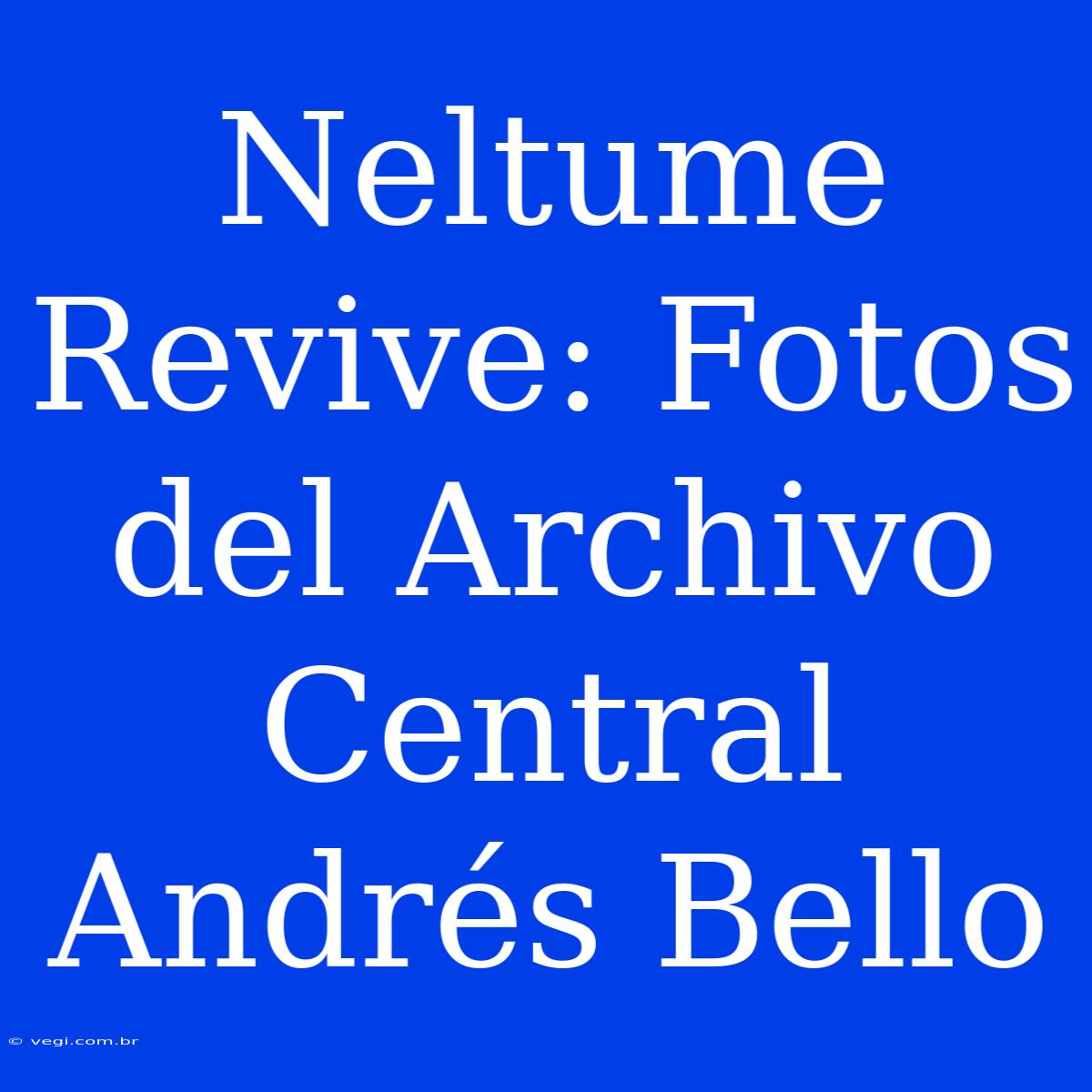 Neltume Revive: Fotos Del Archivo Central Andrés Bello