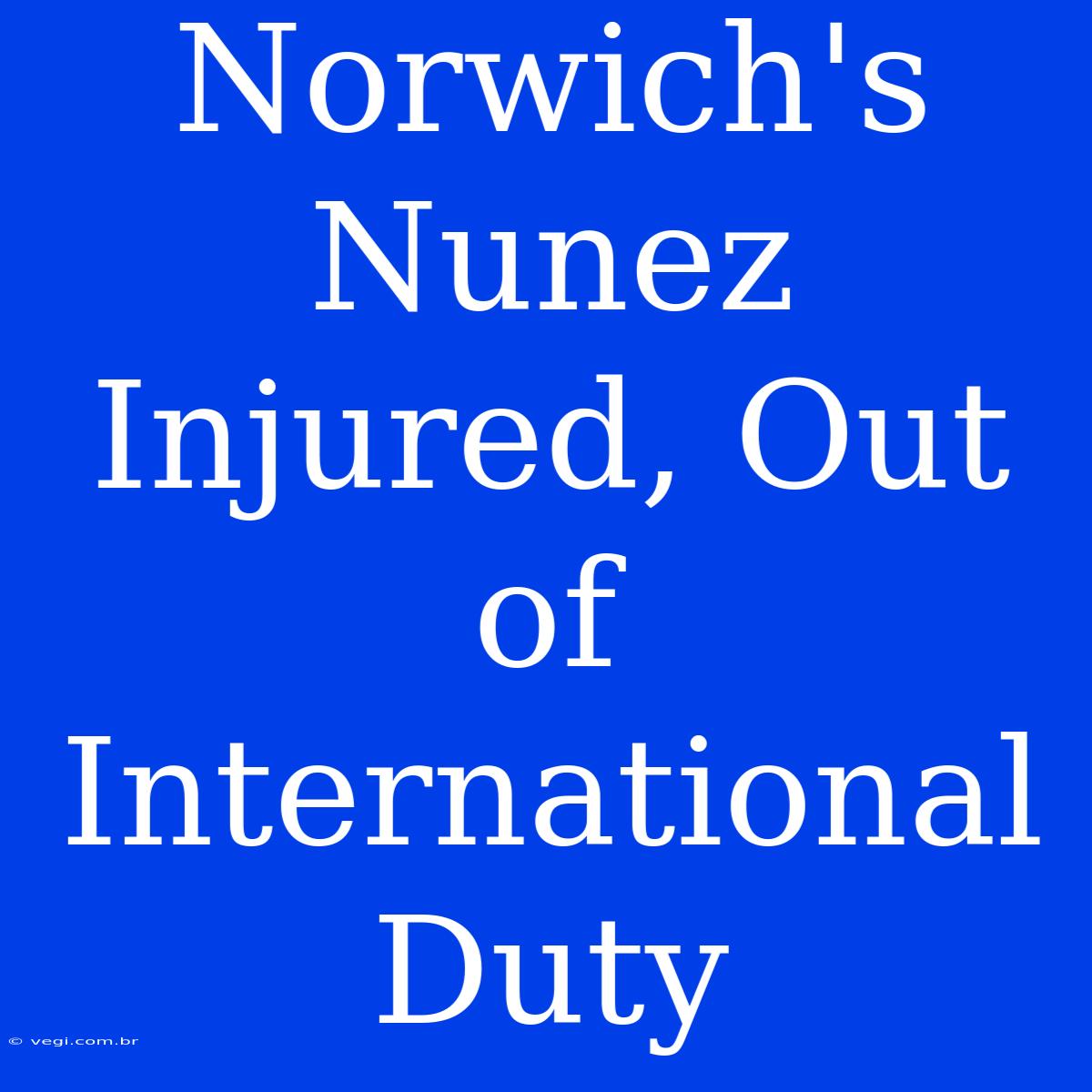 Norwich's Nunez Injured, Out Of International Duty