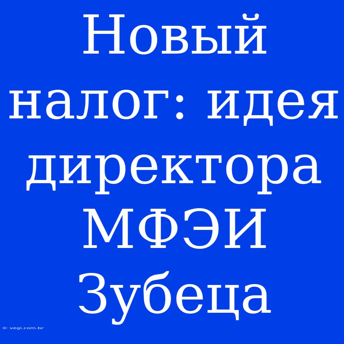 Новый Налог: Идея Директора МФЭИ Зубеца