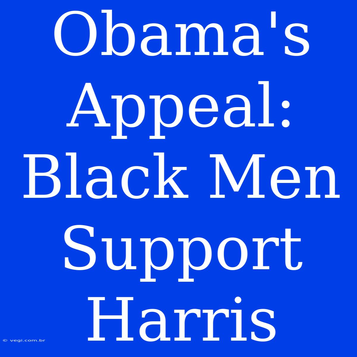 Obama's Appeal: Black Men Support Harris