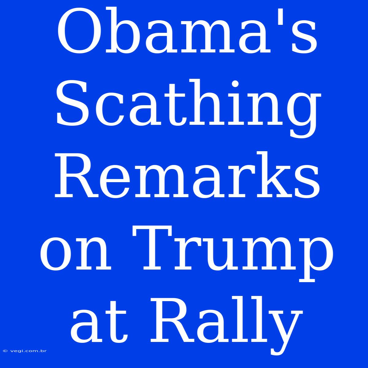 Obama's Scathing Remarks On Trump At Rally