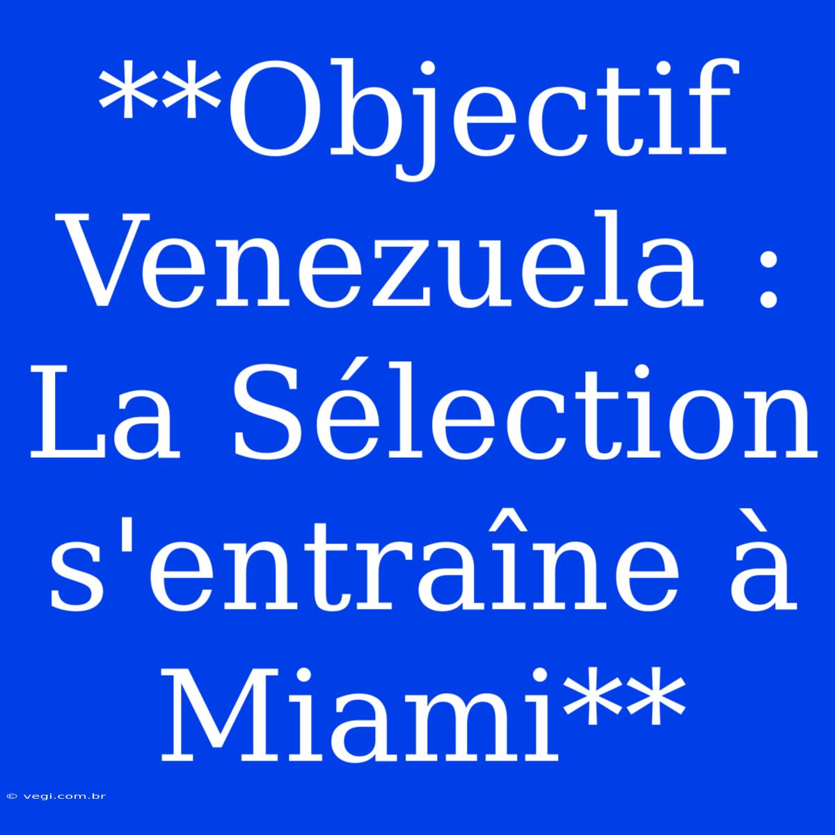 **Objectif Venezuela : La Sélection S'entraîne À Miami**