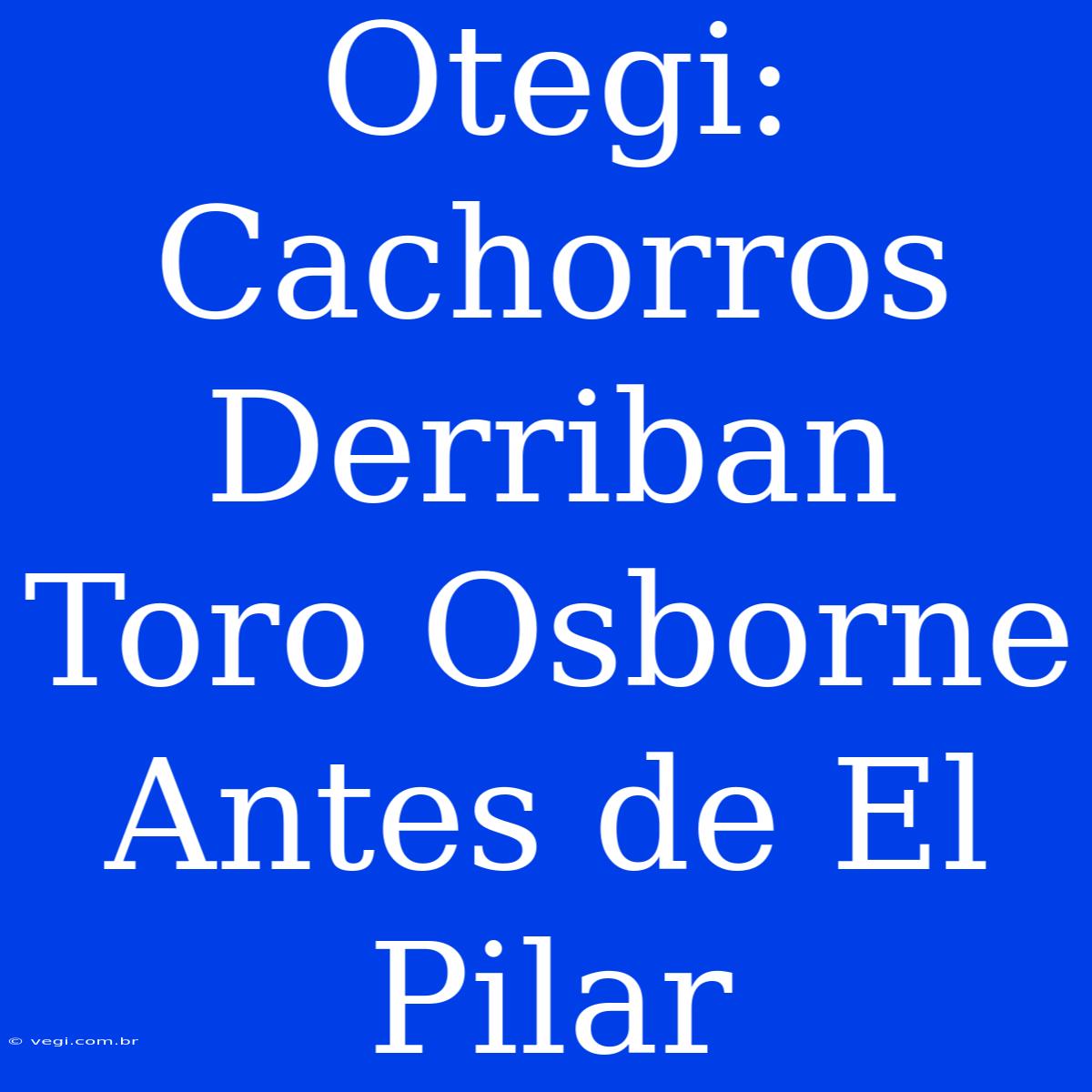 Otegi:  Cachorros Derriban Toro Osborne Antes De El Pilar