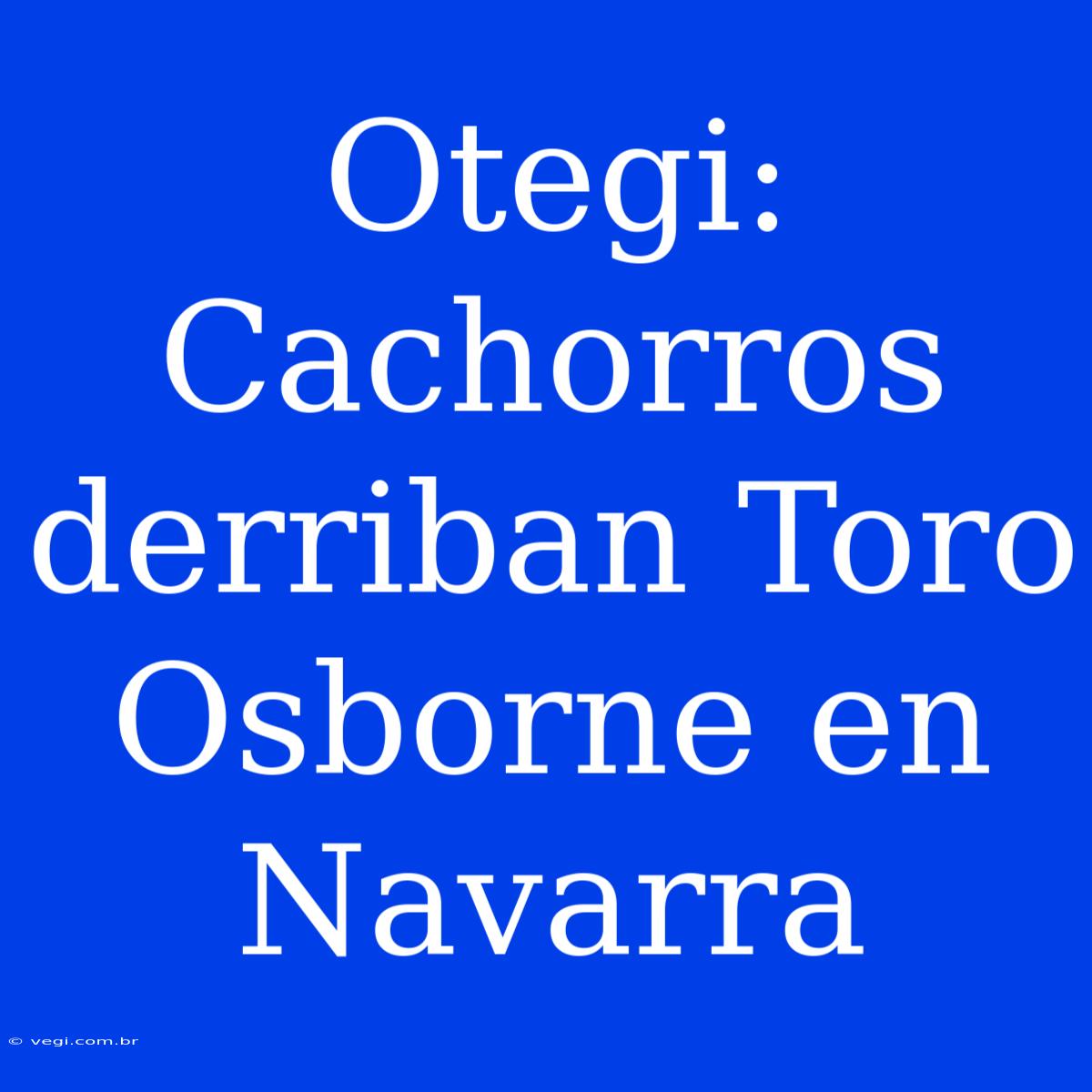 Otegi:  Cachorros Derriban Toro Osborne En Navarra