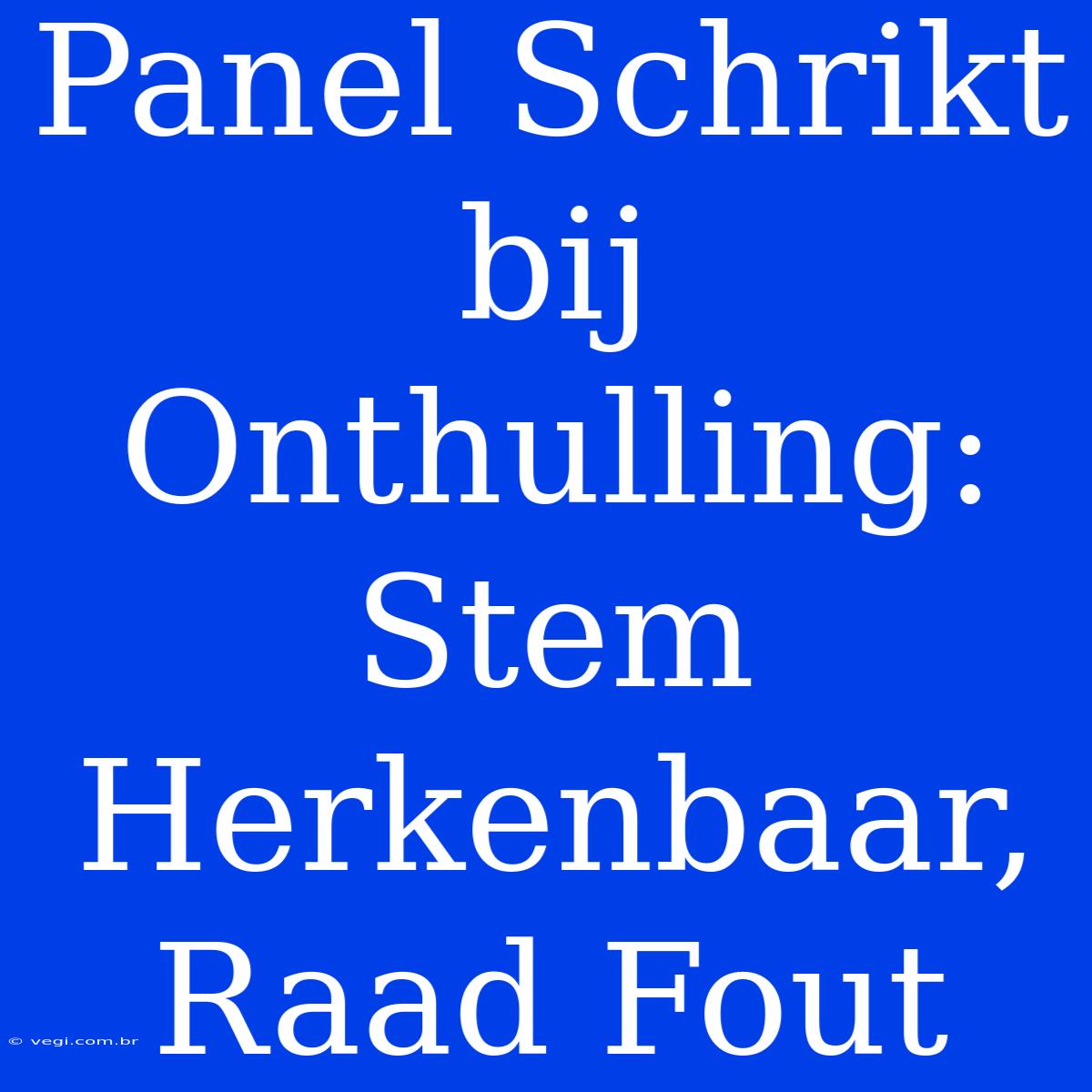 Panel Schrikt Bij Onthulling: Stem Herkenbaar, Raad Fout