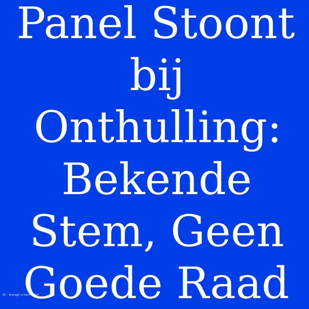 Panel Stoont Bij Onthulling: Bekende Stem, Geen Goede Raad