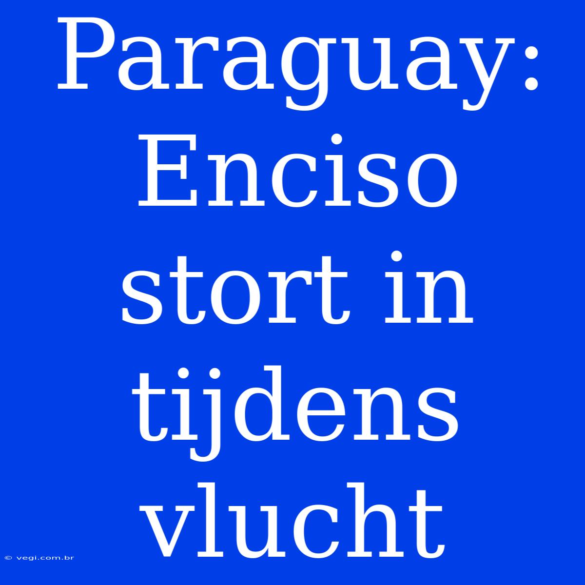 Paraguay: Enciso Stort In Tijdens Vlucht