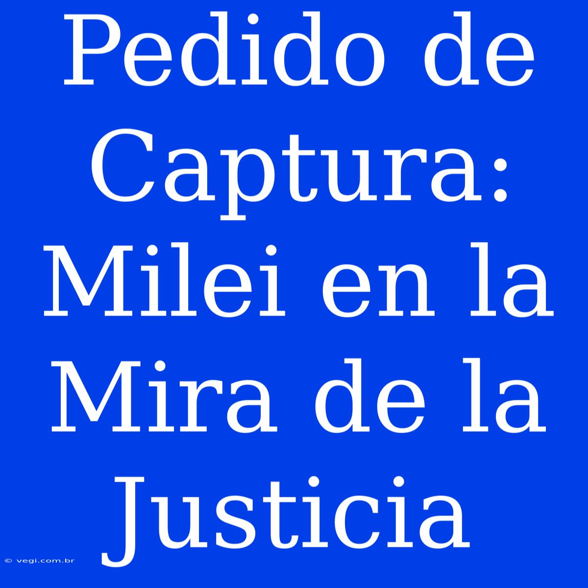 Pedido De Captura: Milei En La Mira De La Justicia