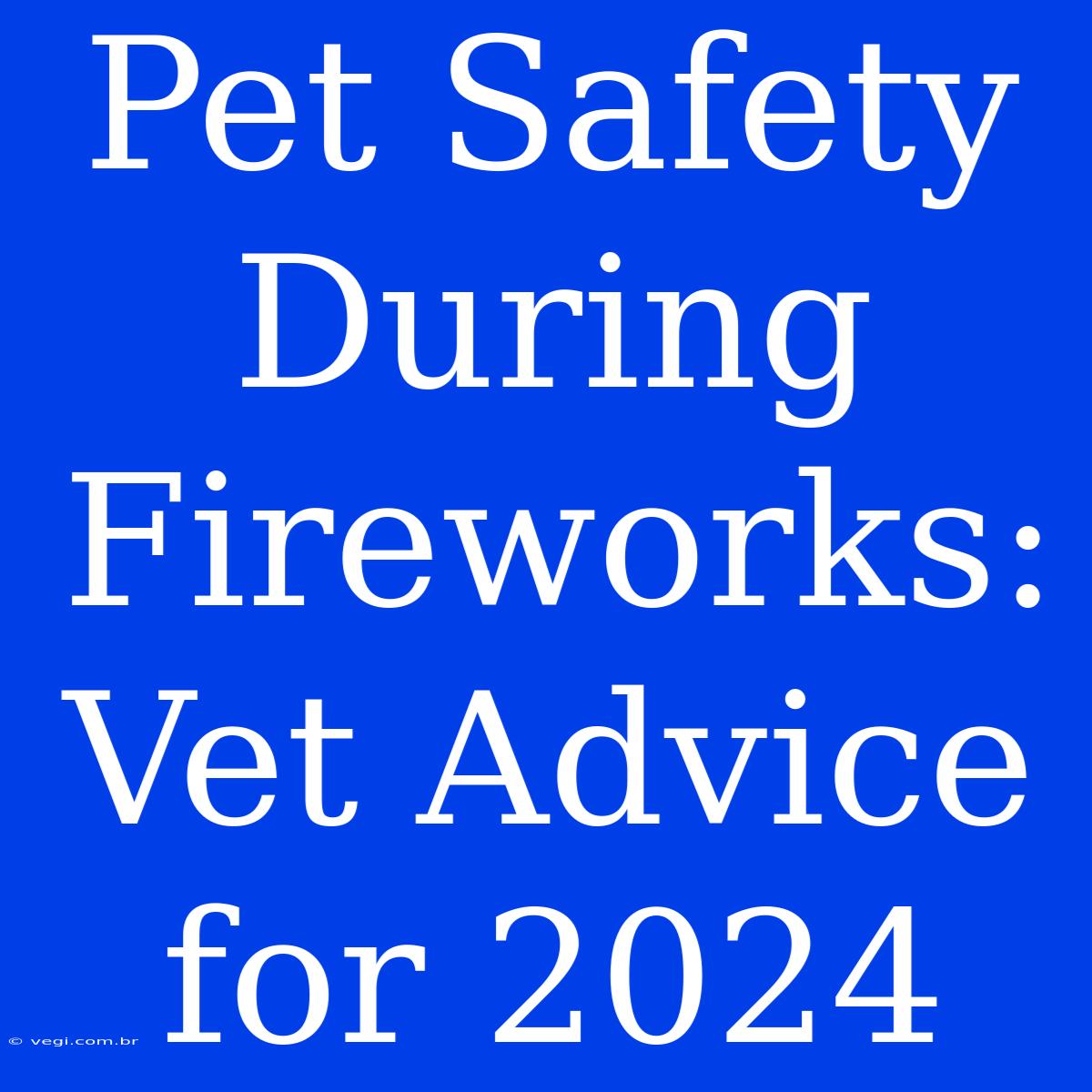 Pet Safety During Fireworks: Vet Advice For 2024