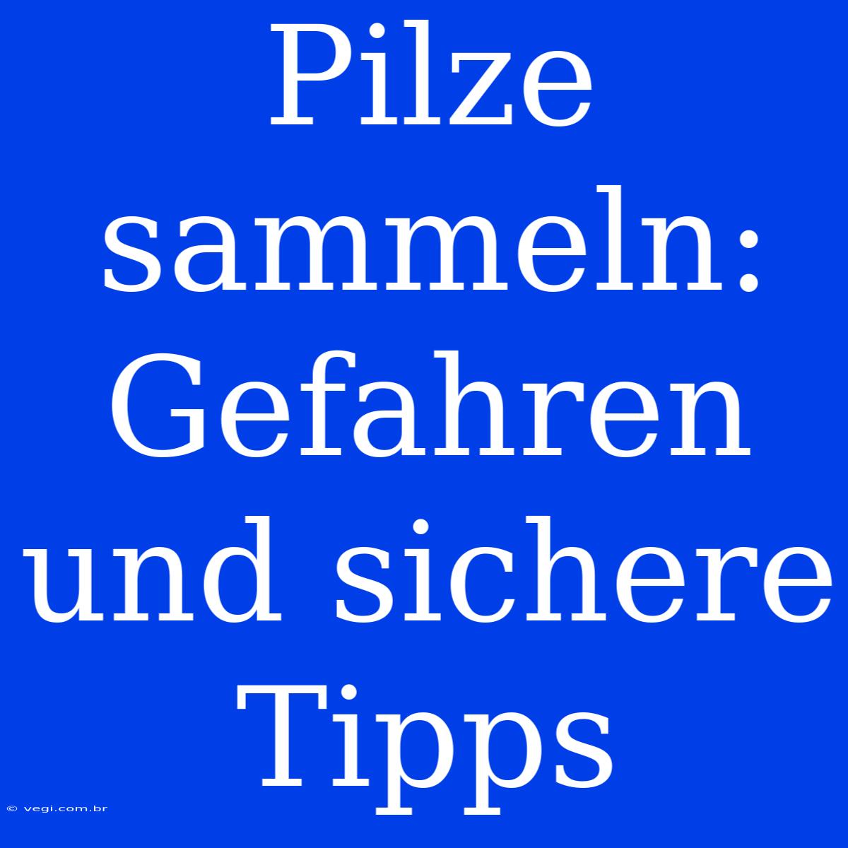 Pilze Sammeln: Gefahren Und Sichere Tipps