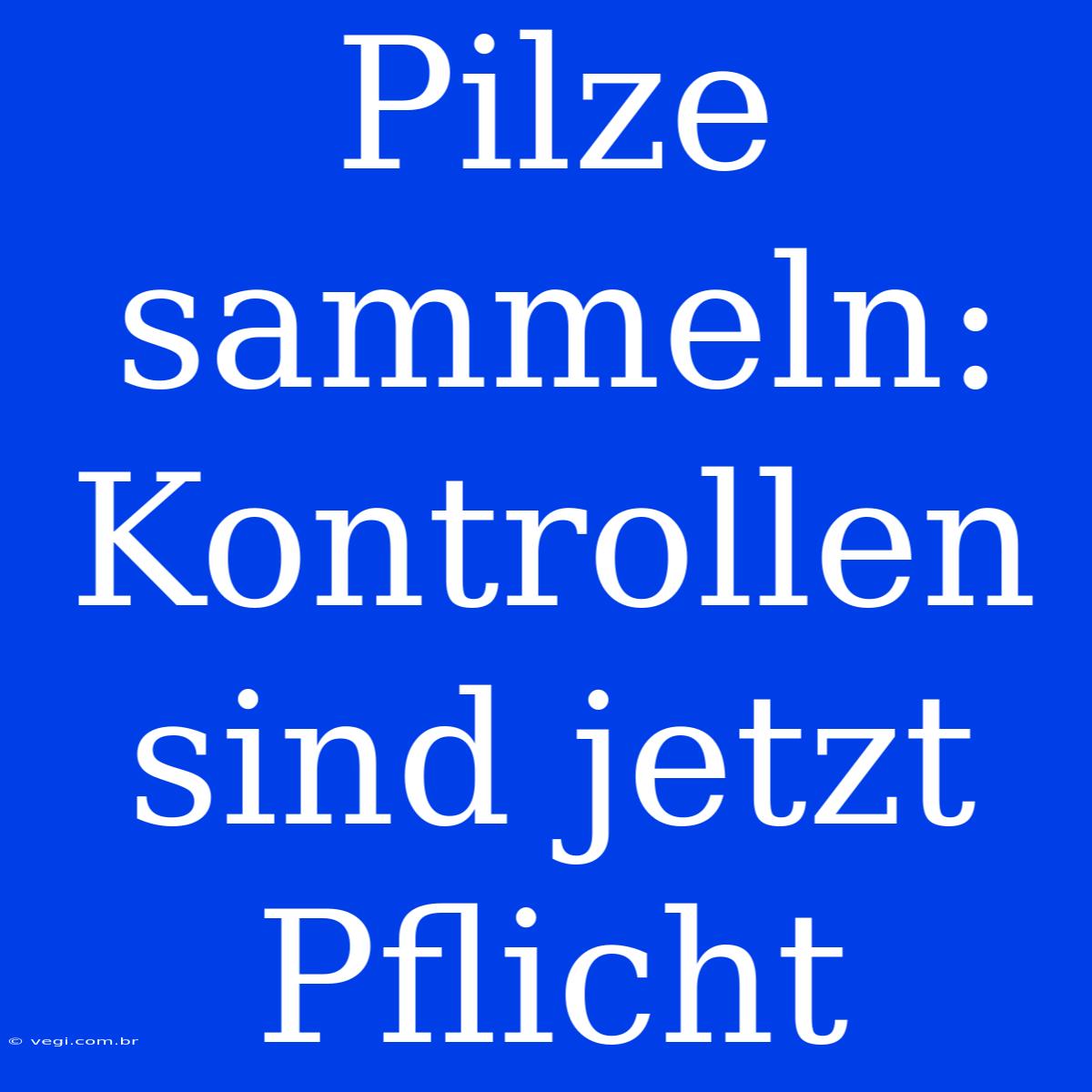 Pilze Sammeln: Kontrollen Sind Jetzt Pflicht