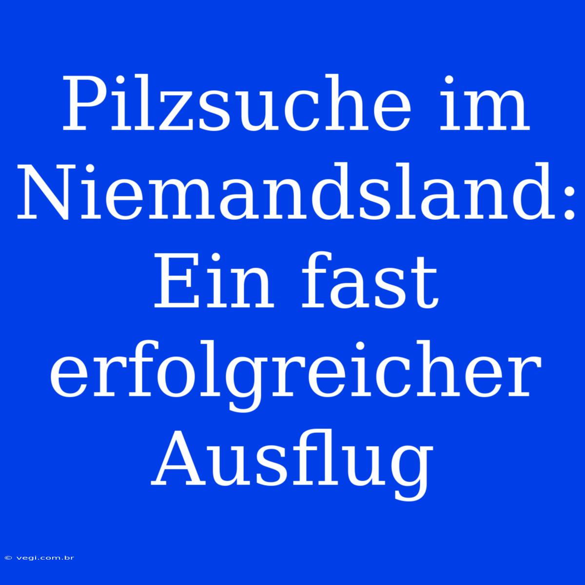 Pilzsuche Im Niemandsland: Ein Fast Erfolgreicher Ausflug