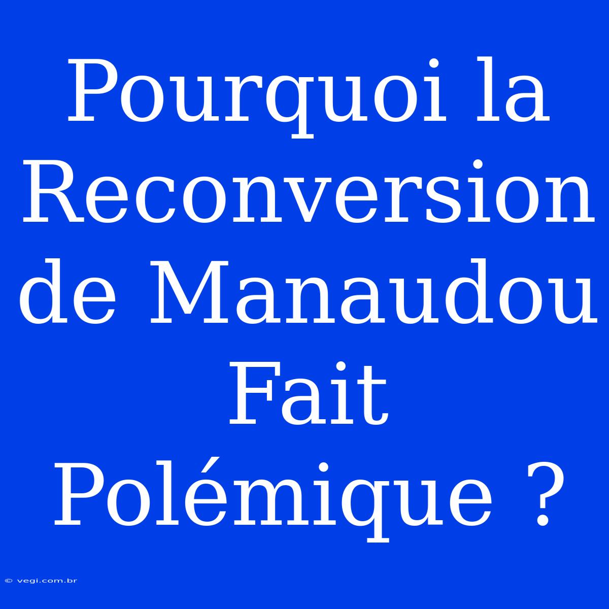 Pourquoi La Reconversion De Manaudou Fait Polémique ?