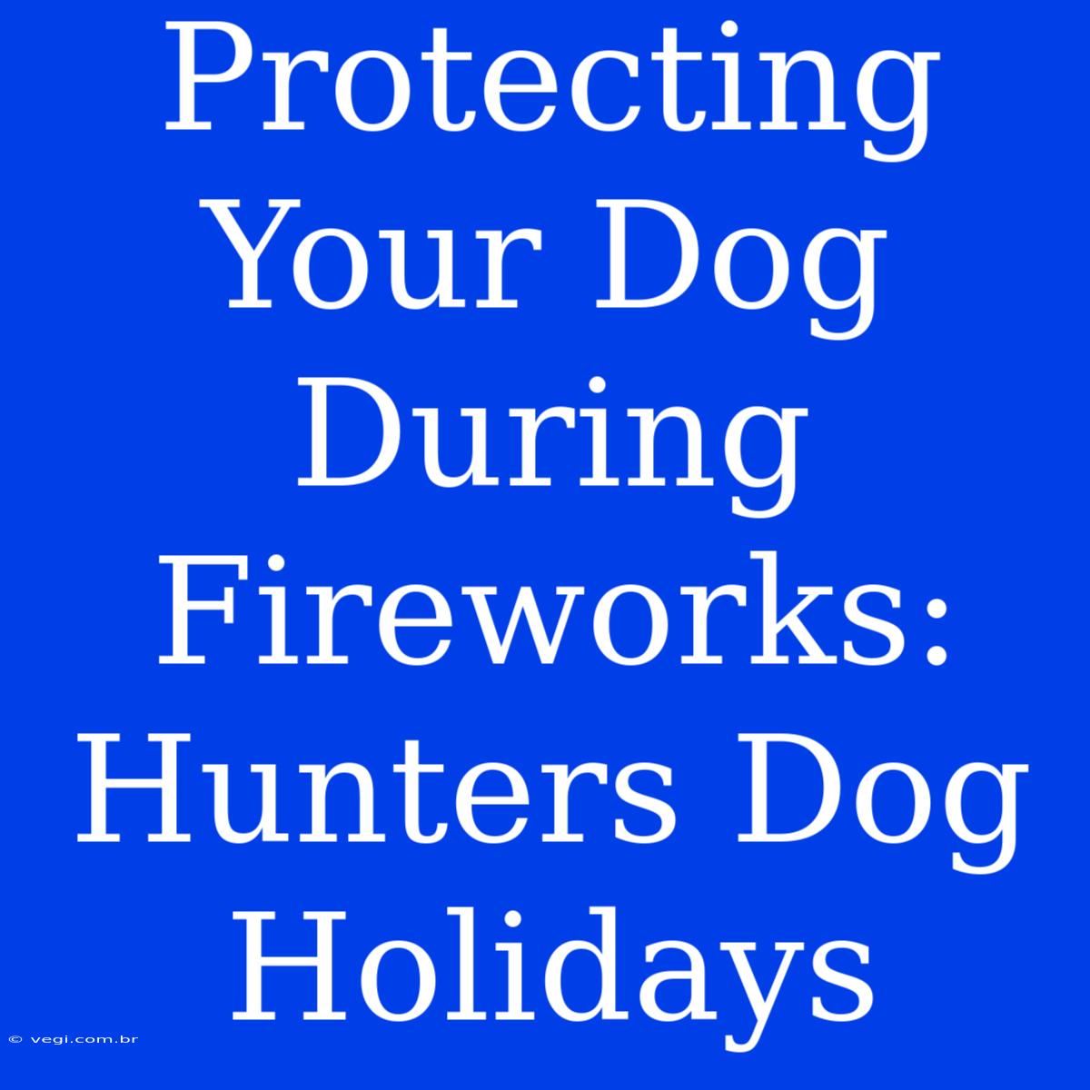 Protecting Your Dog During Fireworks: Hunters Dog Holidays 