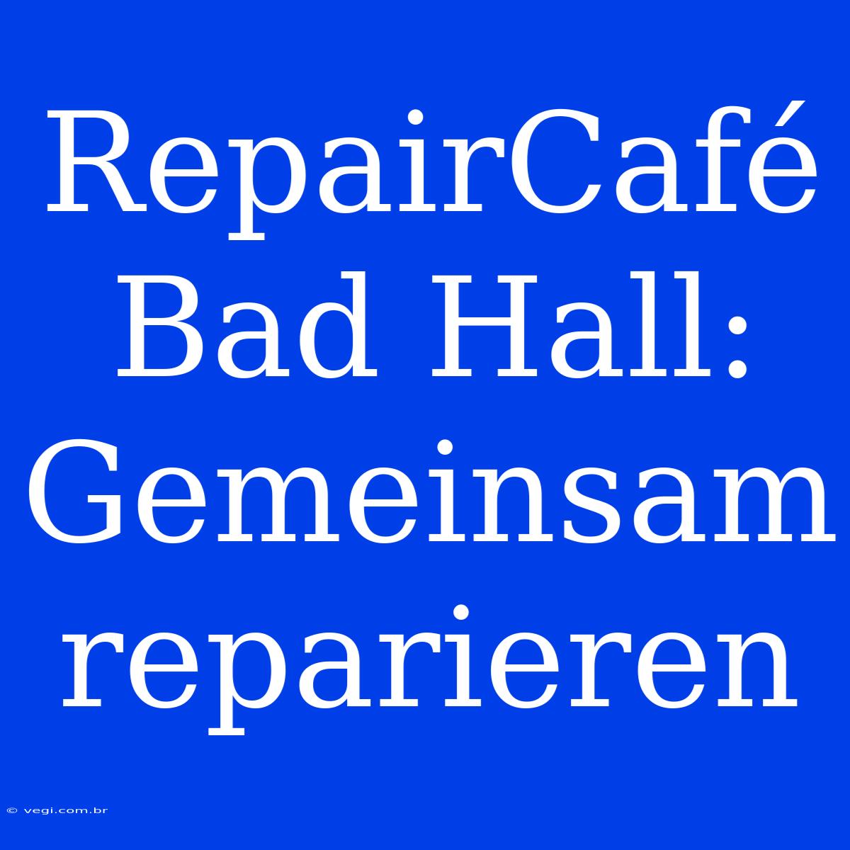 RepairCafé Bad Hall:  Gemeinsam Reparieren