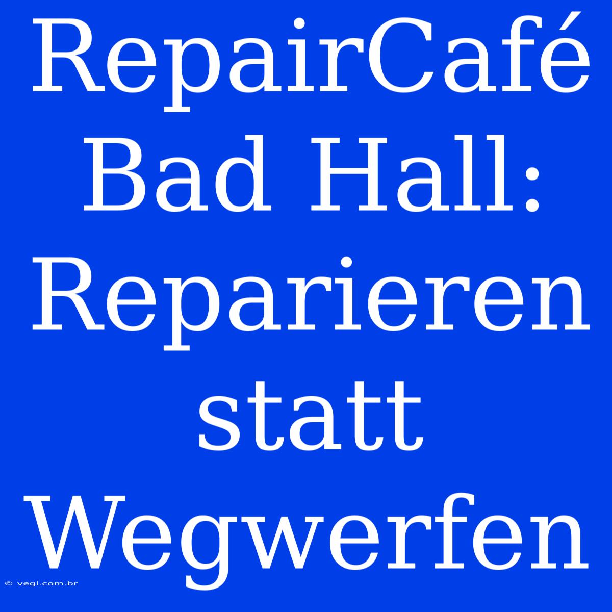 RepairCafé Bad Hall: Reparieren Statt Wegwerfen