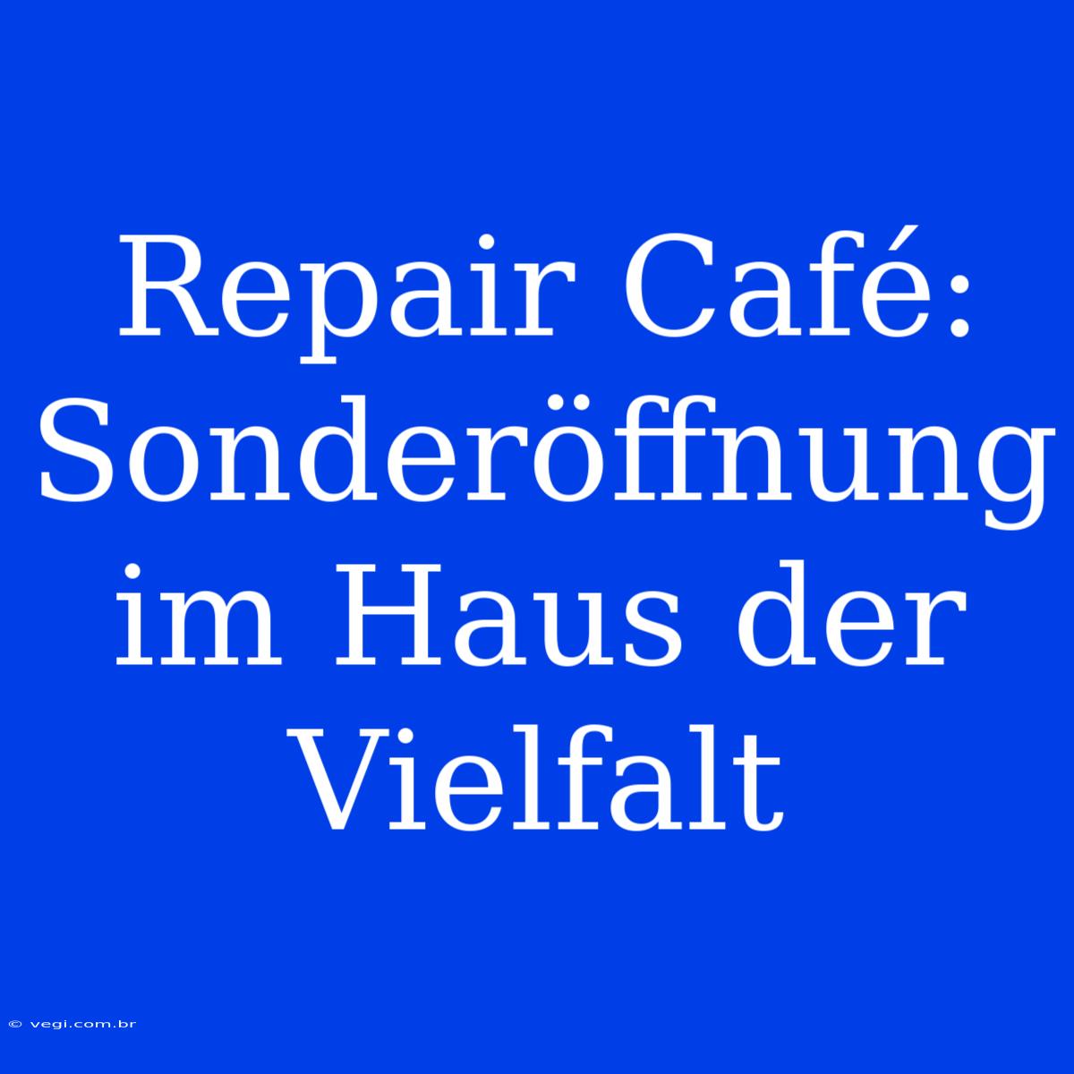 Repair Café: Sonderöffnung Im Haus Der Vielfalt