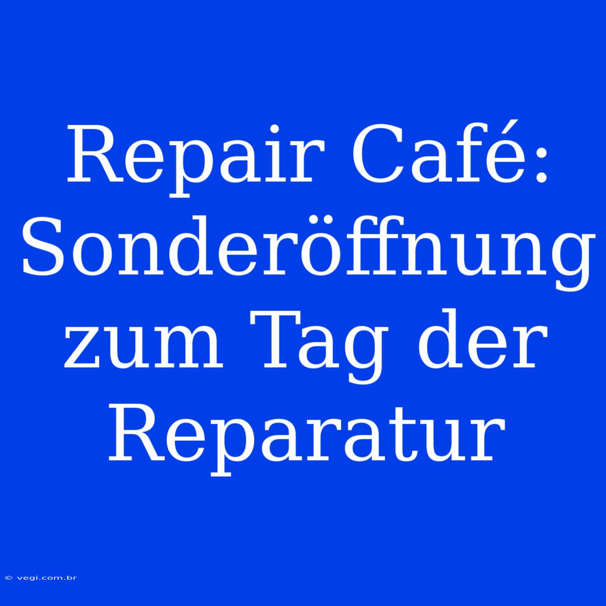 Repair Café: Sonderöffnung Zum Tag Der Reparatur