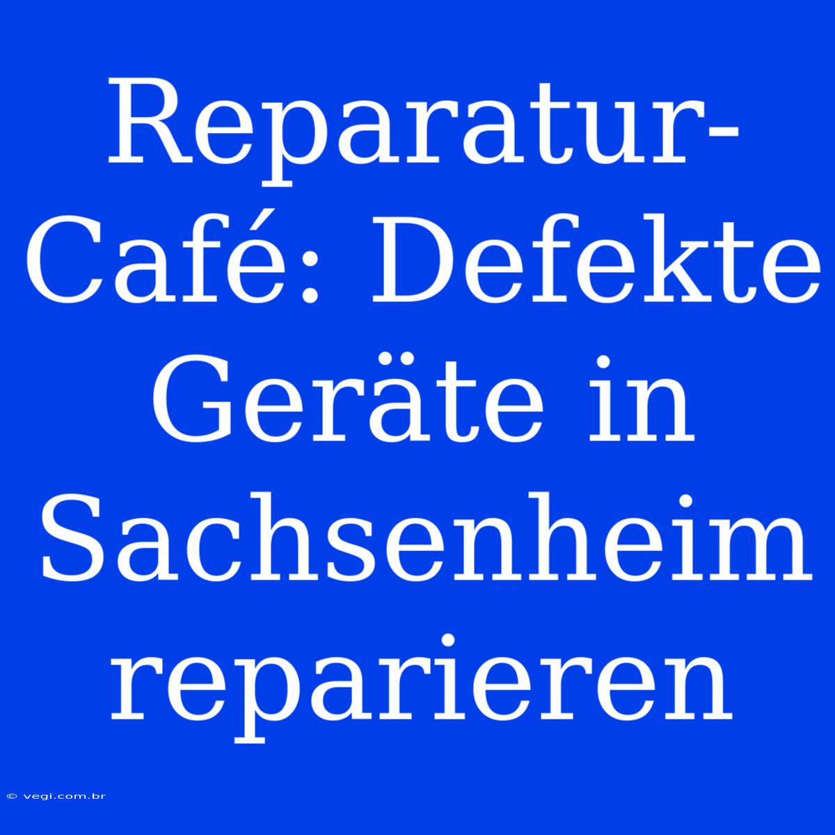 Reparatur-Café: Defekte Geräte In Sachsenheim Reparieren