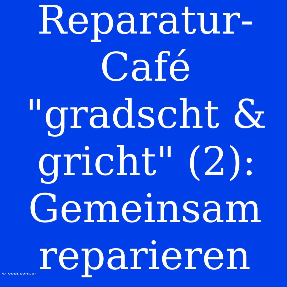 Reparatur-Café 