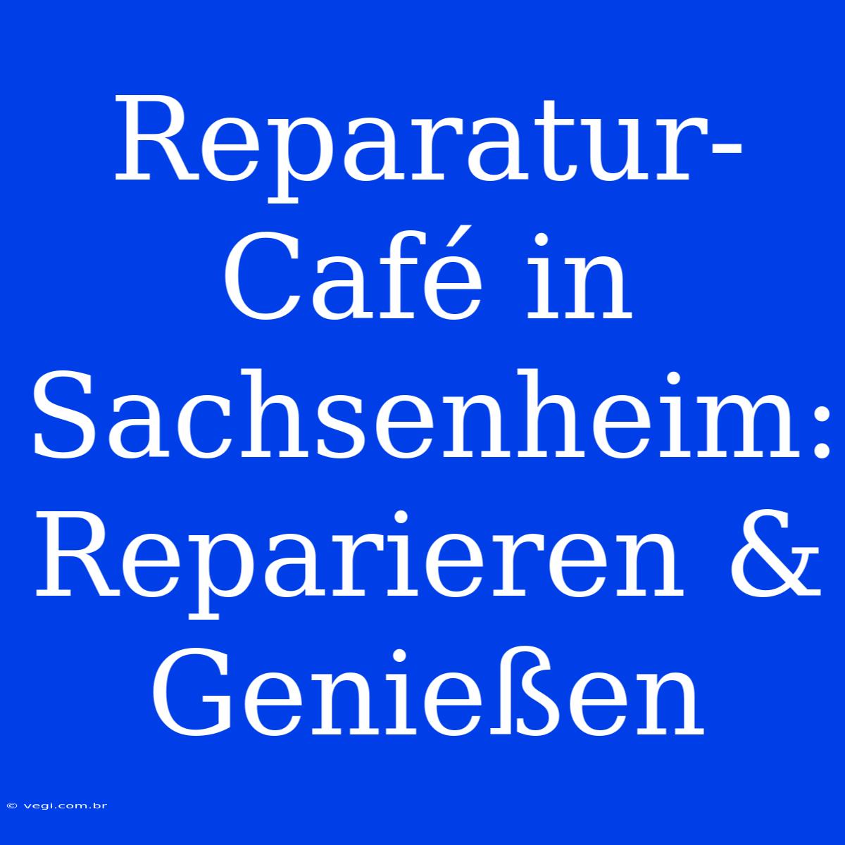 Reparatur-Café In Sachsenheim: Reparieren & Genießen