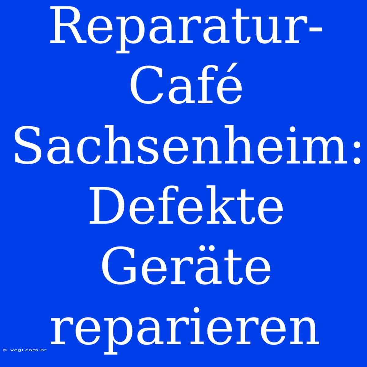 Reparatur-Café Sachsenheim: Defekte Geräte Reparieren