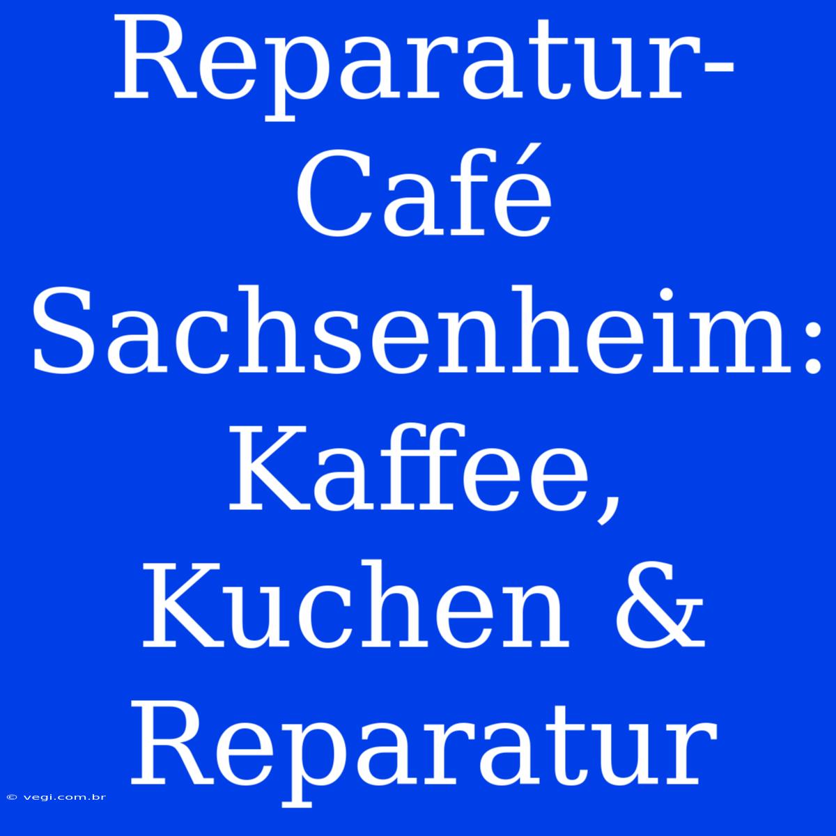 Reparatur-Café Sachsenheim: Kaffee, Kuchen & Reparatur