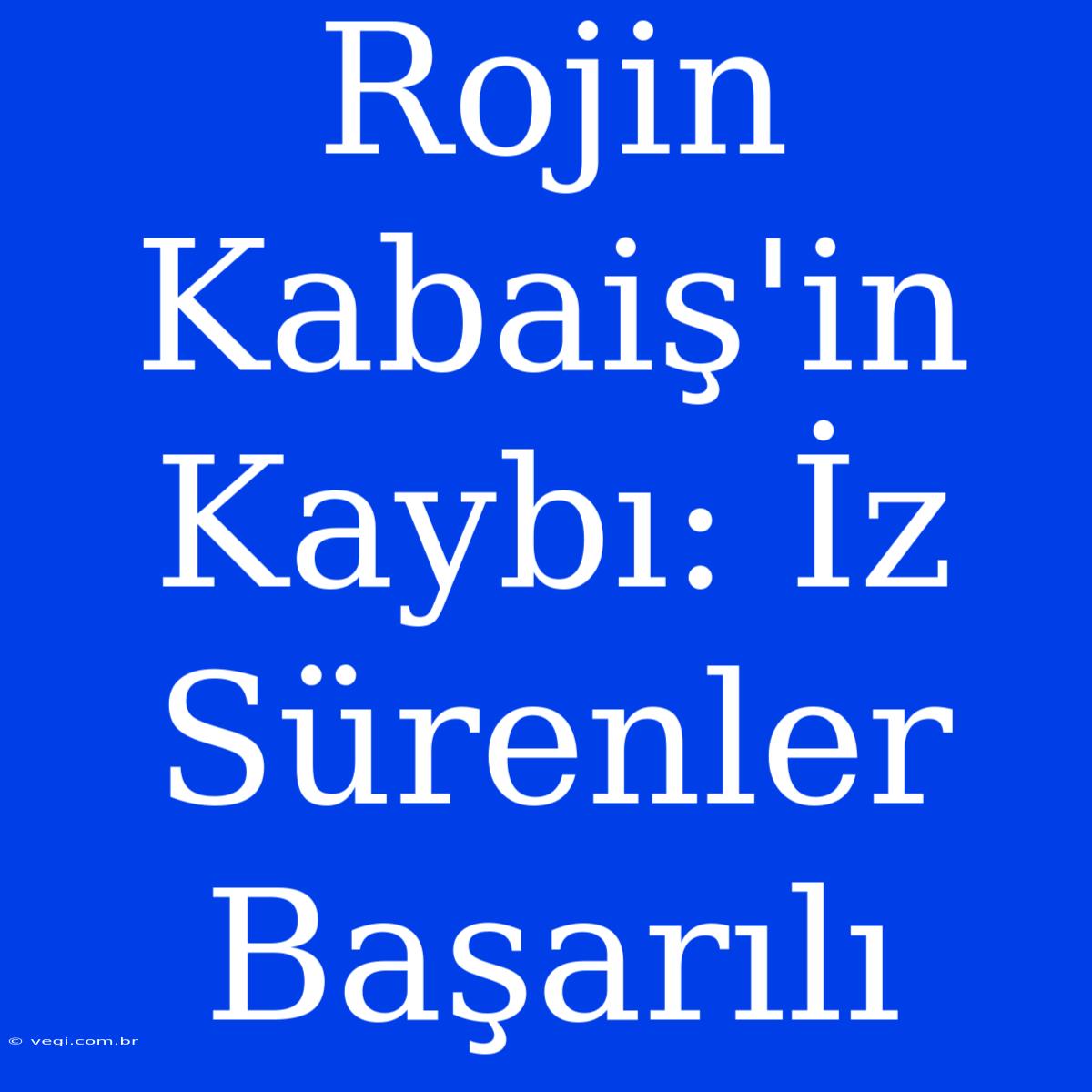 Rojin Kabaiş'in Kaybı: İz Sürenler Başarılı