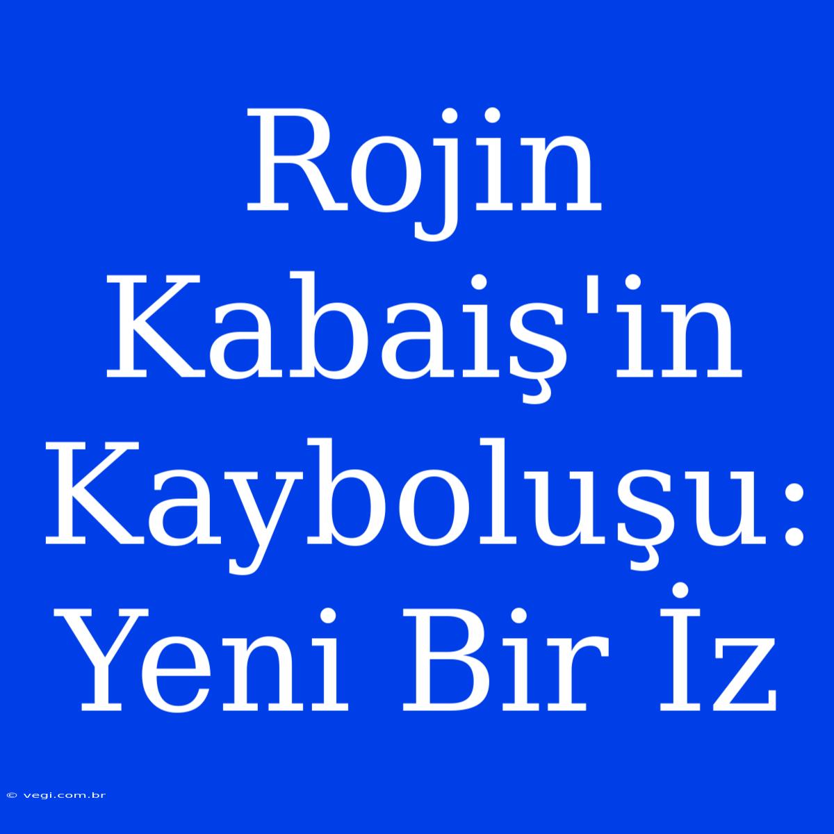 Rojin Kabaiş'in Kayboluşu: Yeni Bir İz