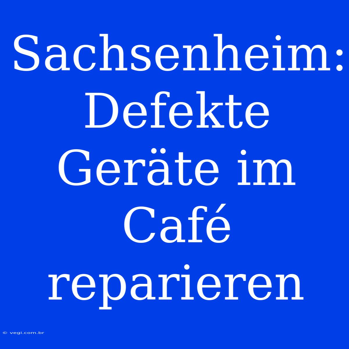 Sachsenheim: Defekte Geräte Im Café Reparieren