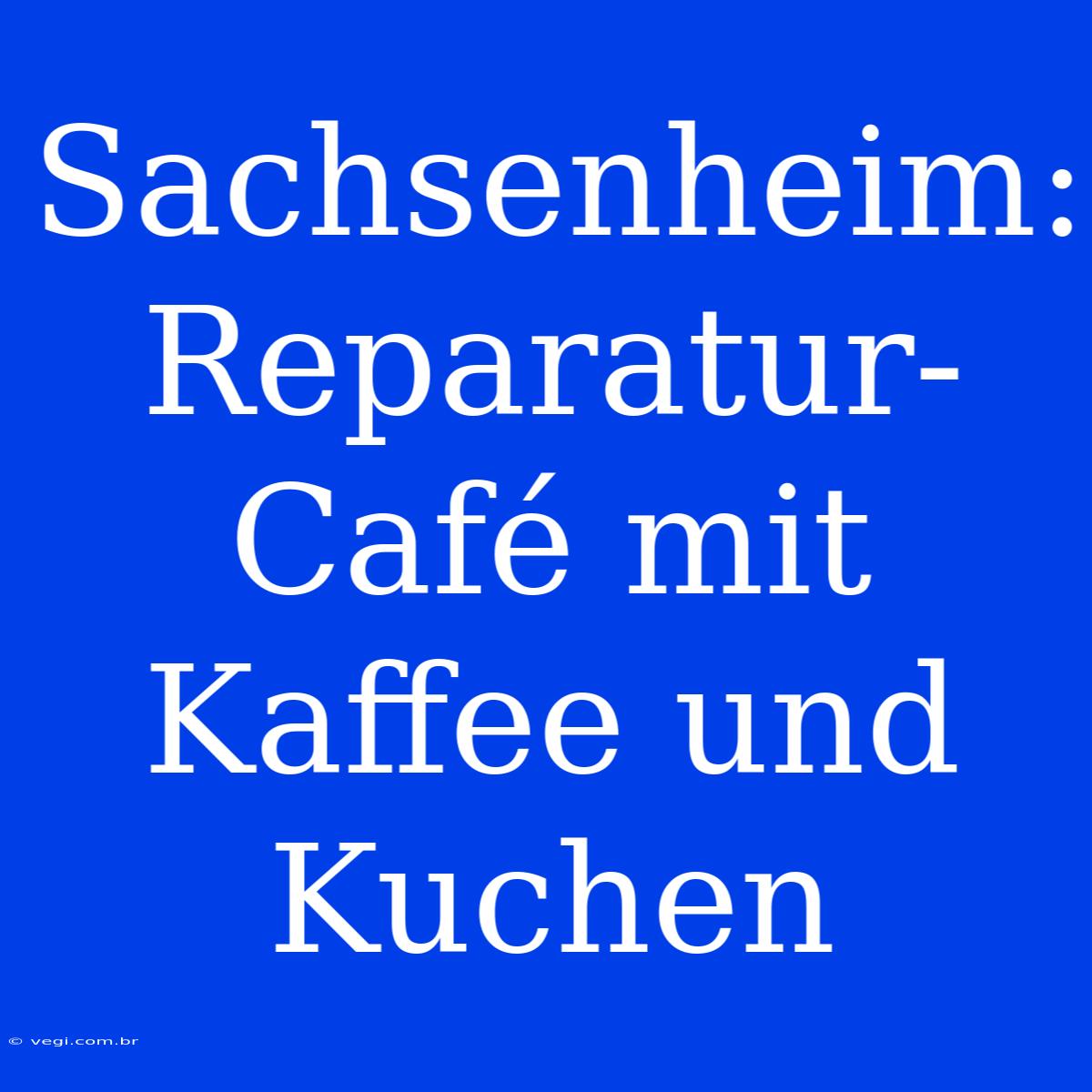 Sachsenheim: Reparatur-Café Mit Kaffee Und Kuchen