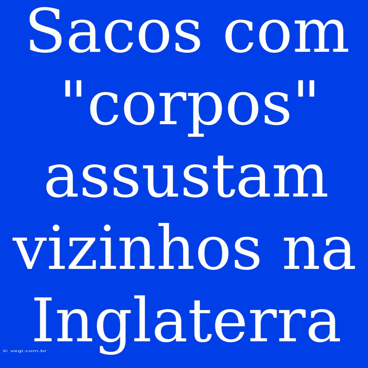 Sacos Com 