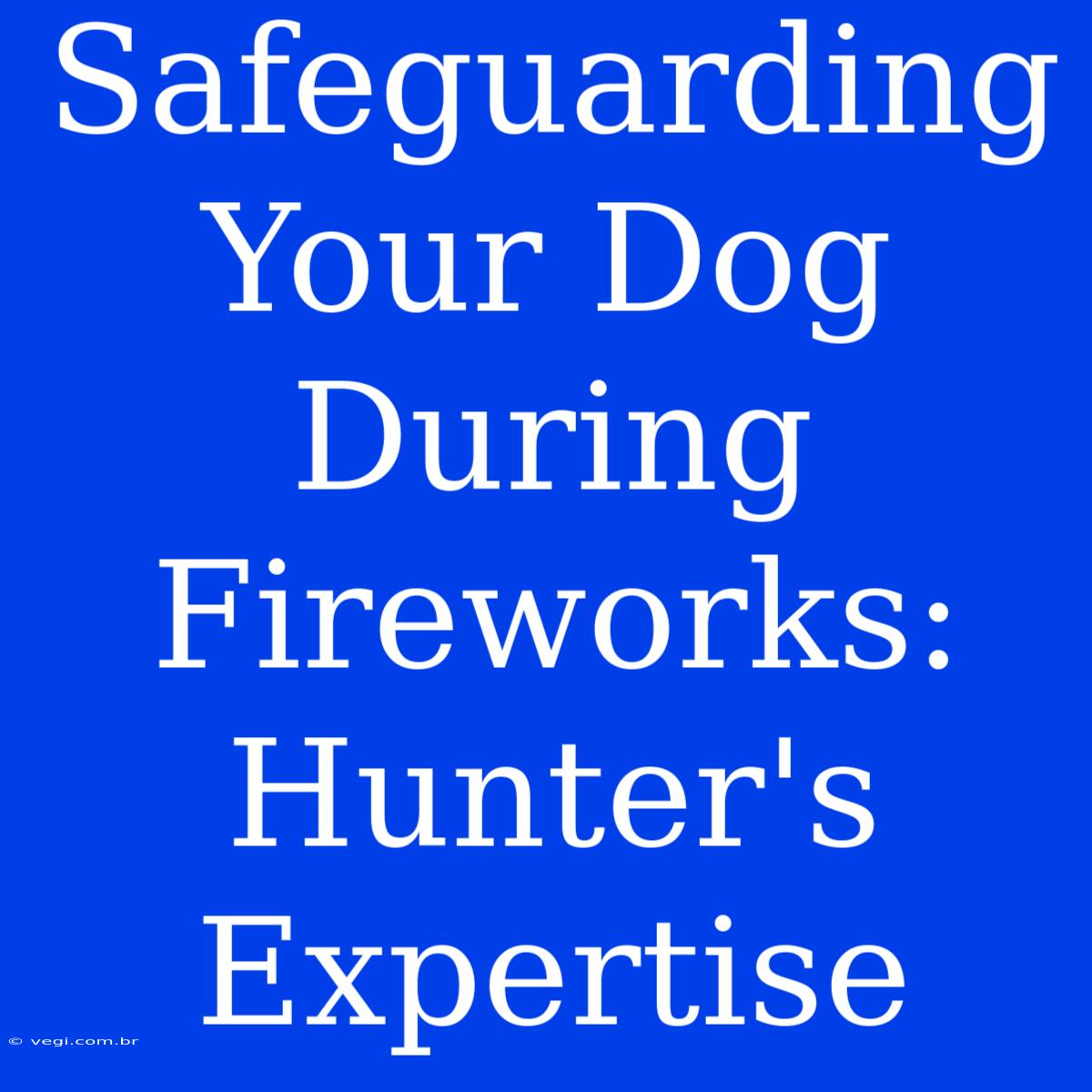 Safeguarding Your Dog During Fireworks: Hunter's Expertise 