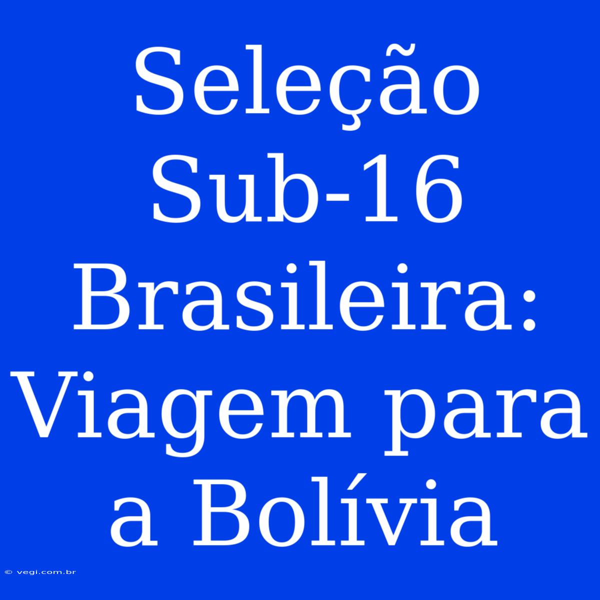 Seleção Sub-16 Brasileira: Viagem Para A Bolívia