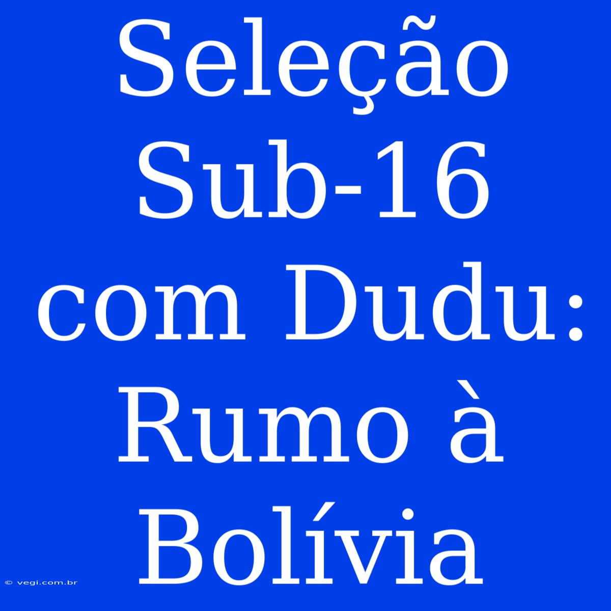 Seleção Sub-16 Com Dudu: Rumo À Bolívia