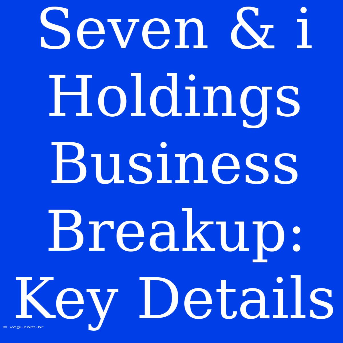 Seven & I Holdings Business Breakup: Key Details 