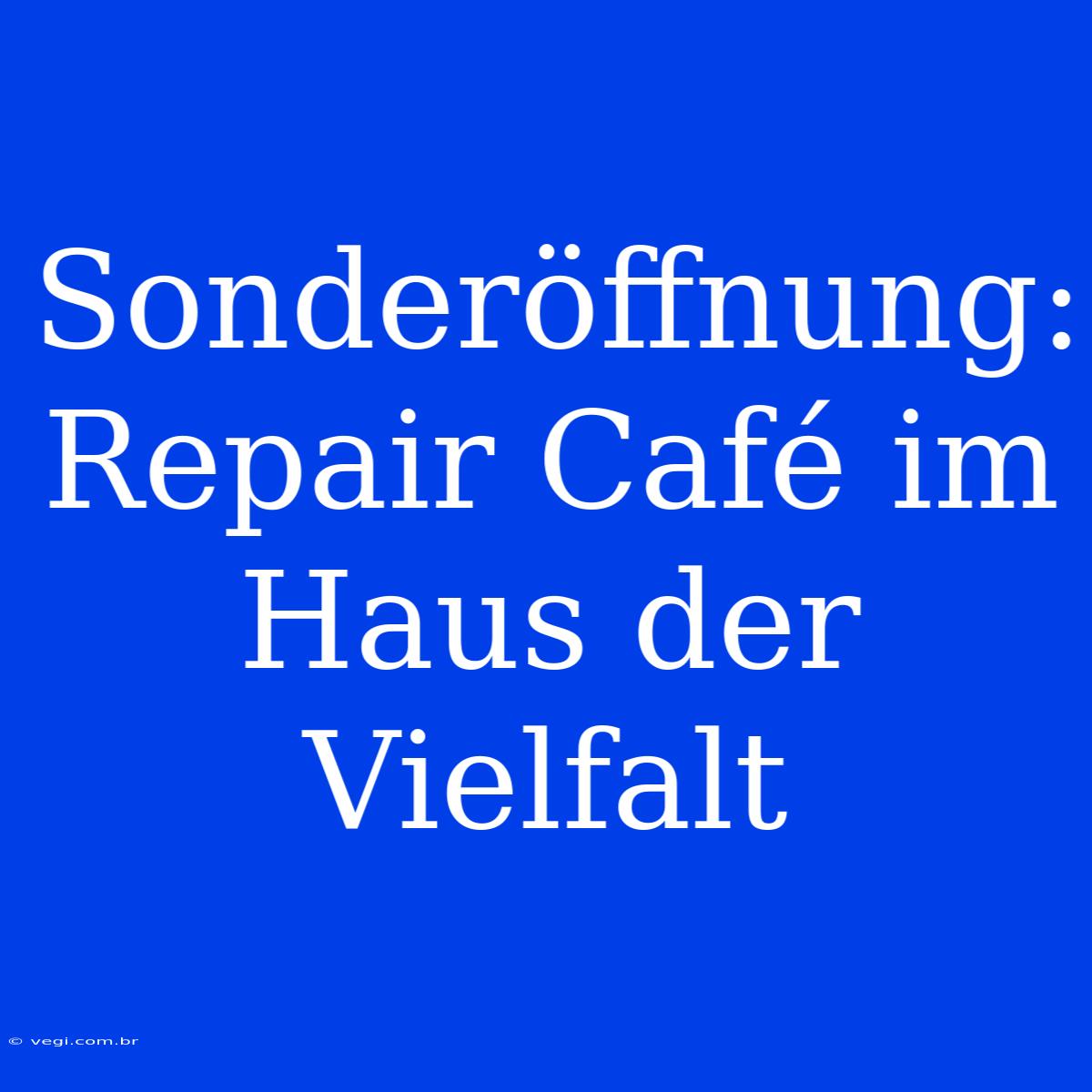 Sonderöffnung: Repair Café Im Haus Der Vielfalt