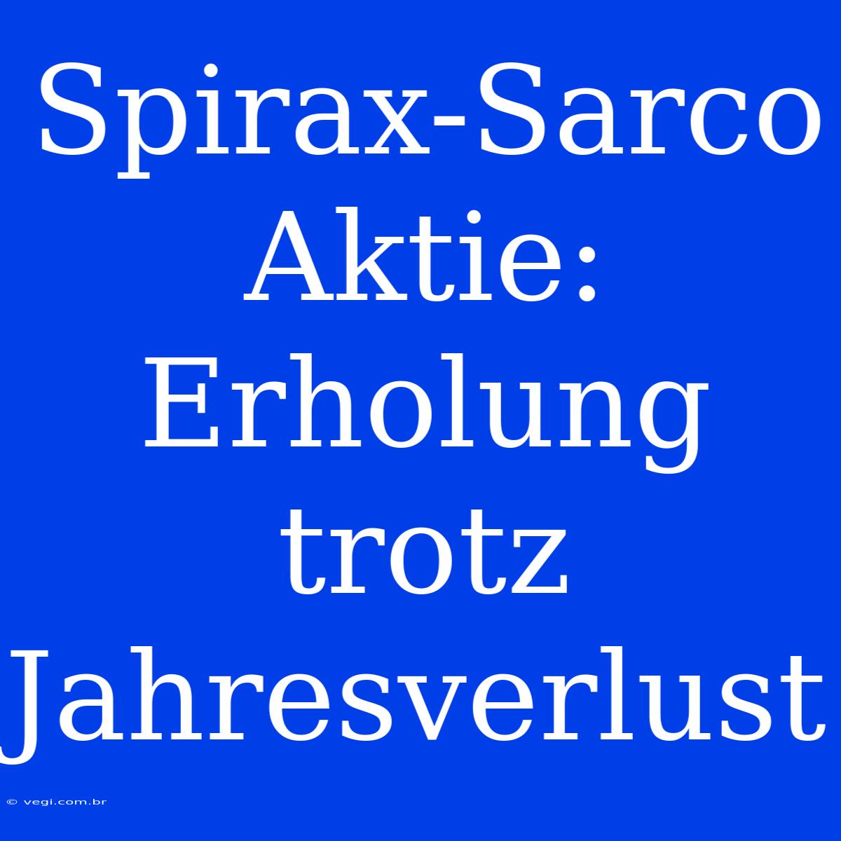 Spirax-Sarco Aktie: Erholung Trotz Jahresverlust