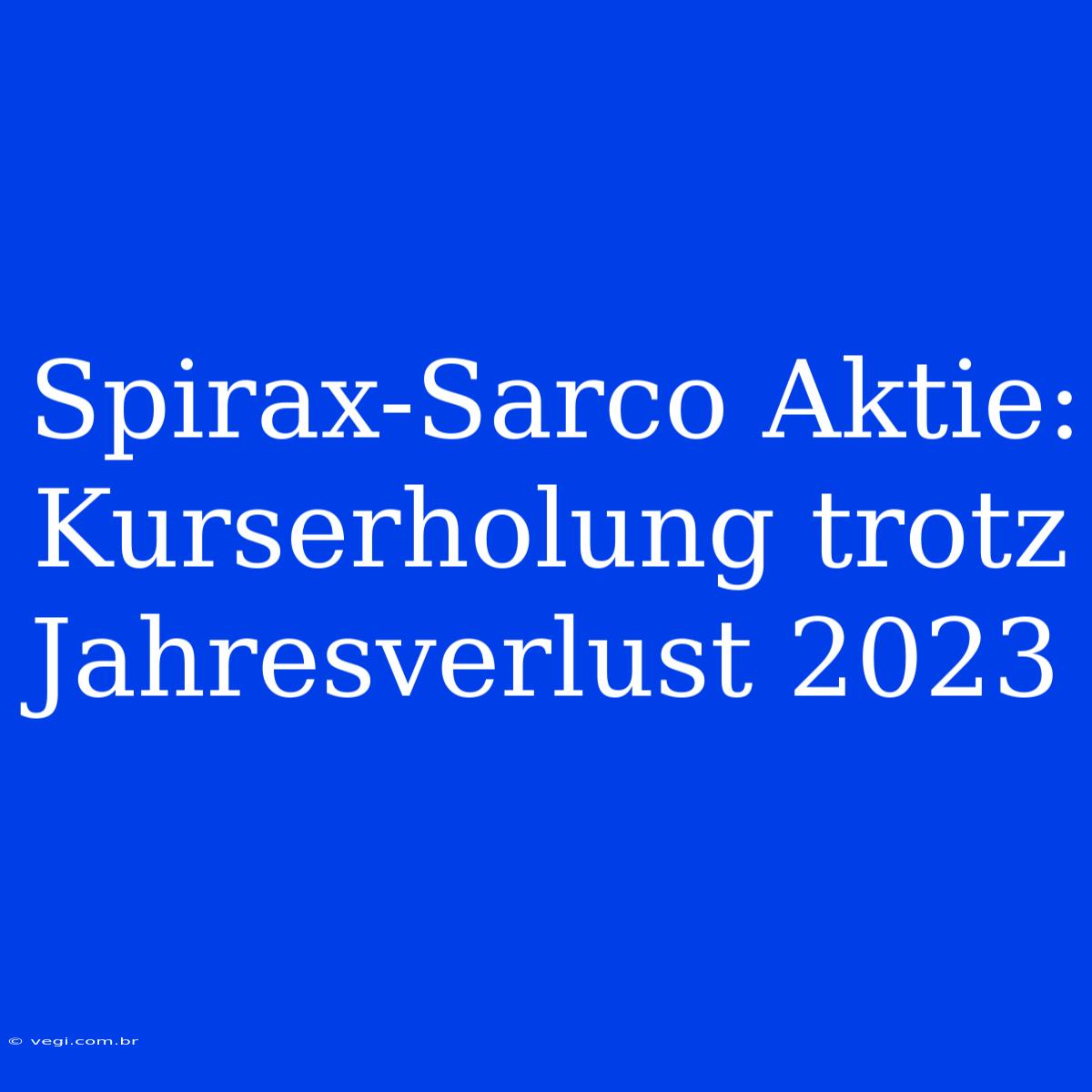 Spirax-Sarco Aktie: Kurserholung Trotz Jahresverlust 2023